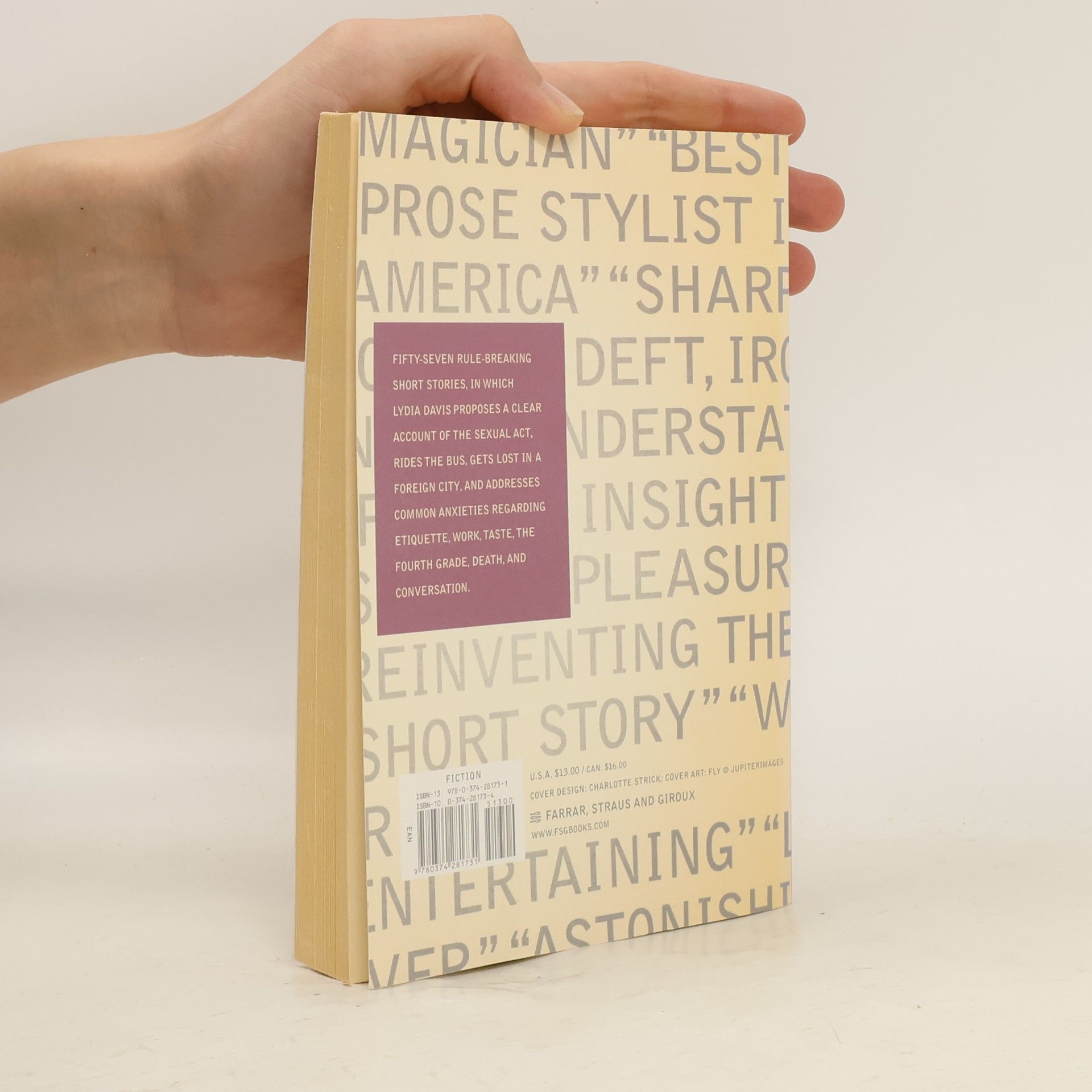 Lydia Davis Varieties of Disturbance