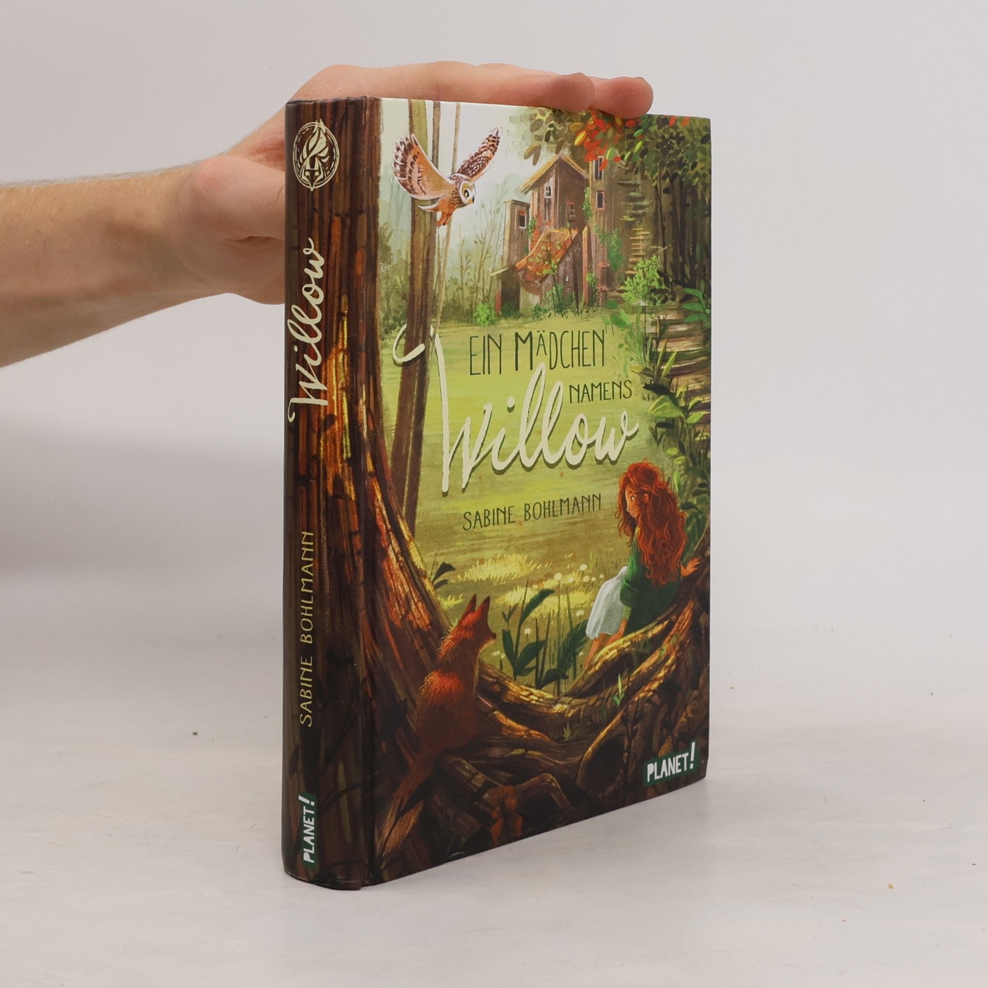 Sabine Bohlmann Ein Mädchen namens Willow