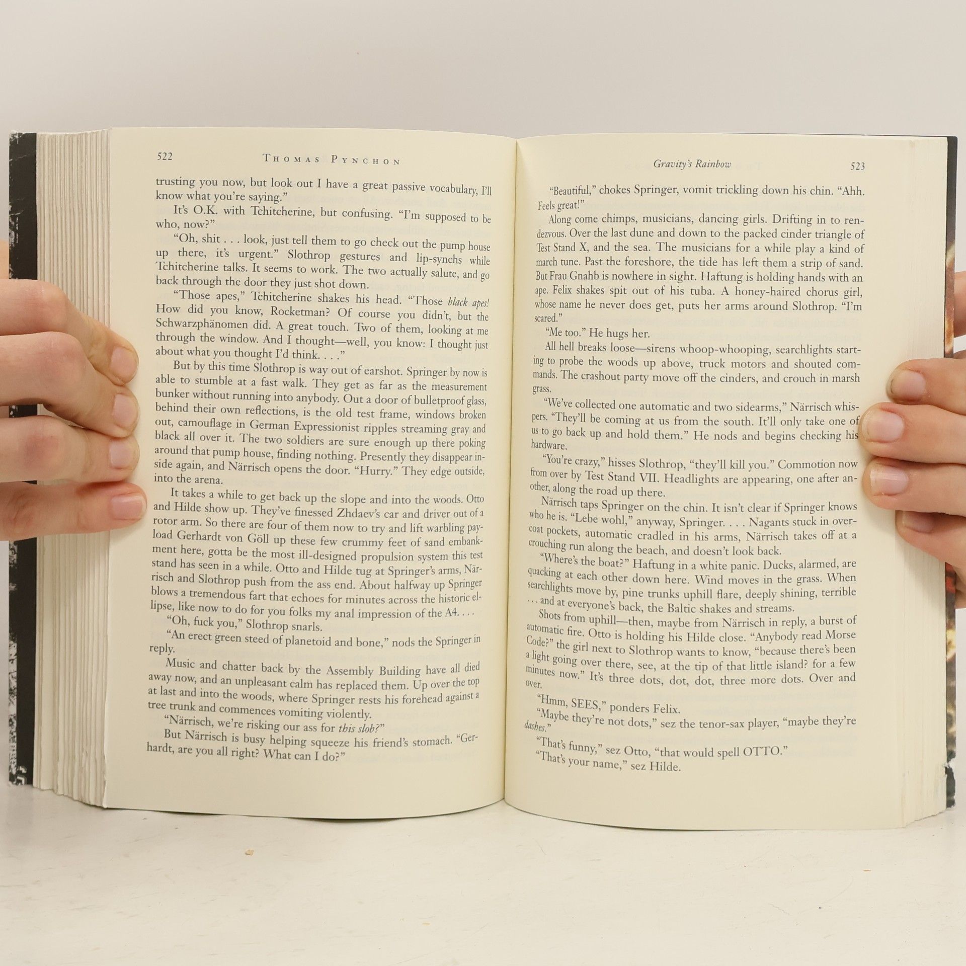 Thomas Pynchon Demolierung - Gründung - Ursprung