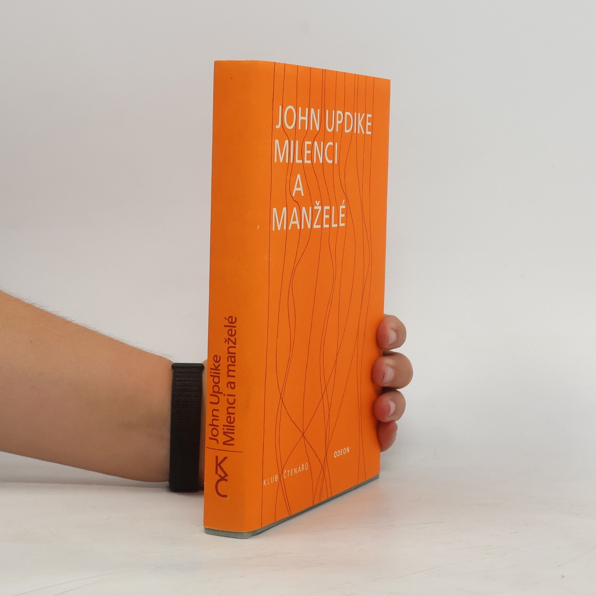 John Updike Milenci a manželé