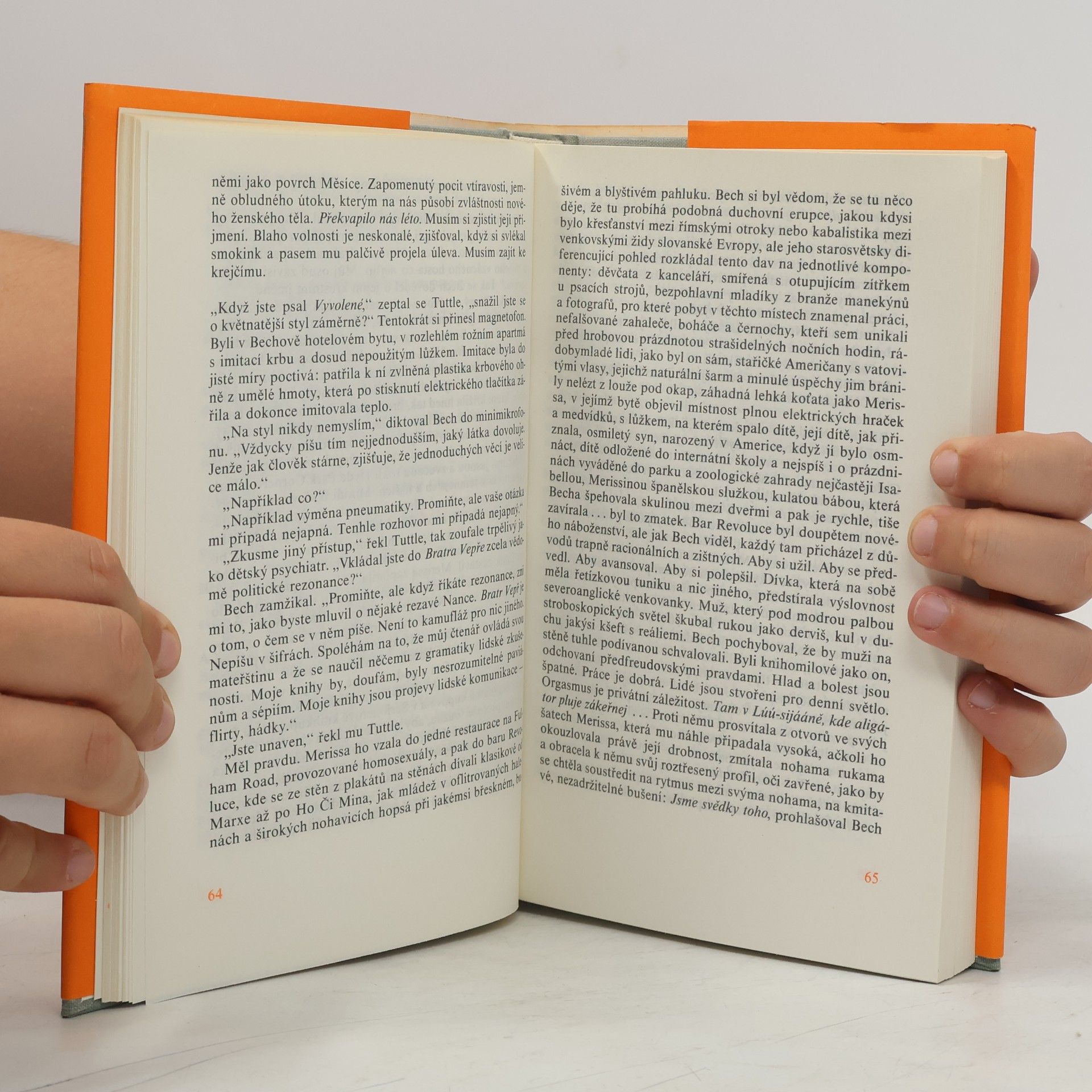 John Updike Milenci a manželé