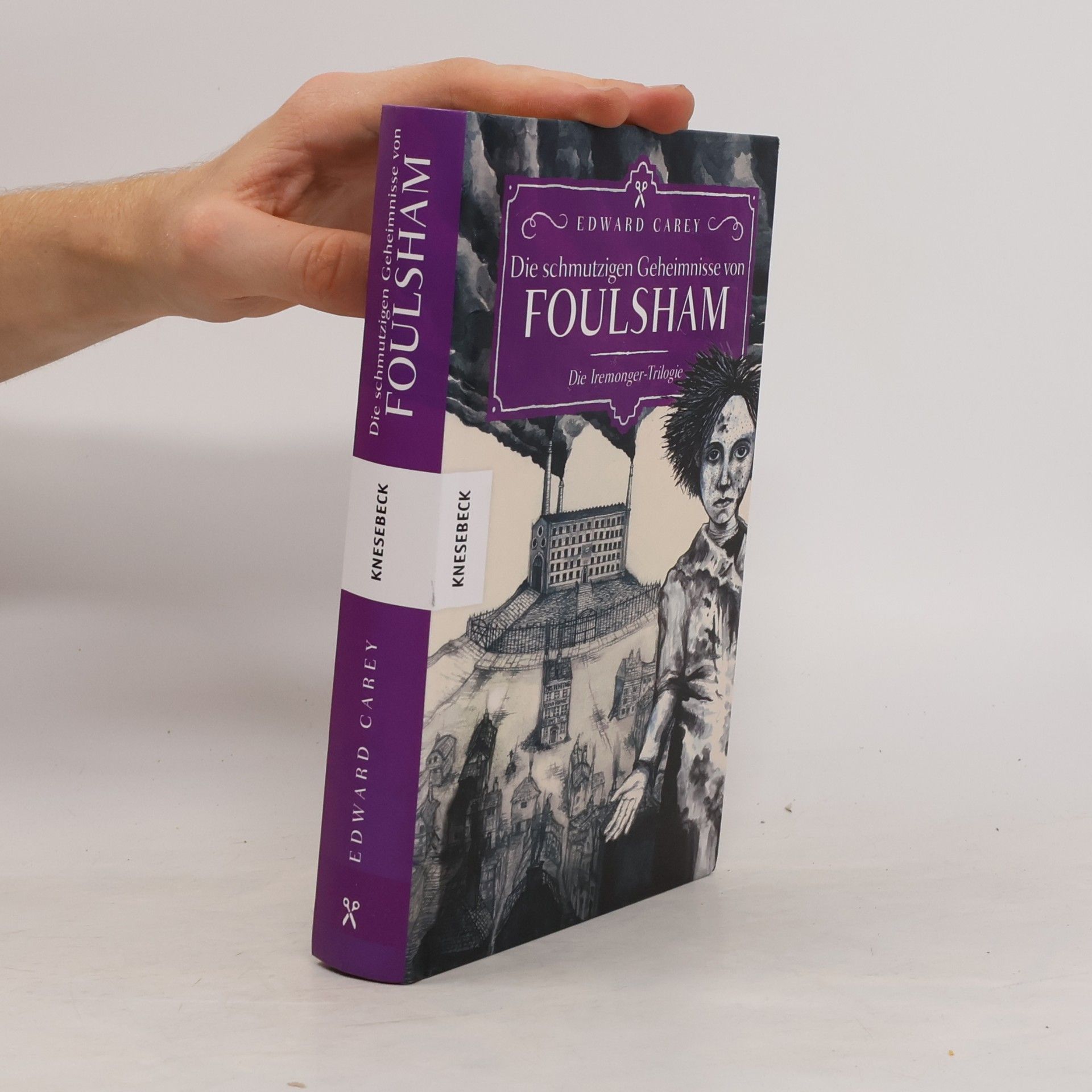 Edward Carey Die schmutzigen Geheimnisse von Foulsham