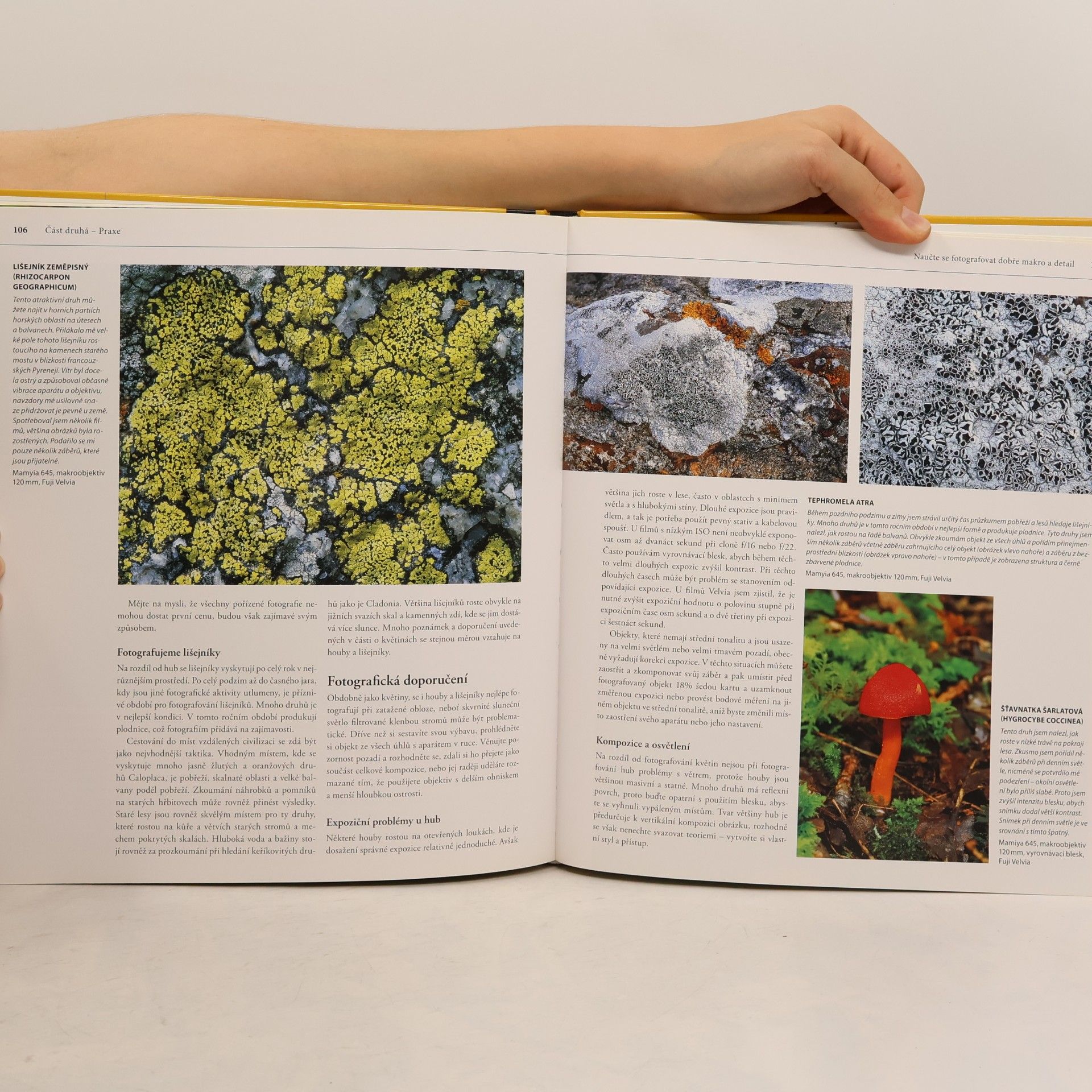 Robert Thompson Naučte se fotografovat dobře makro a detail