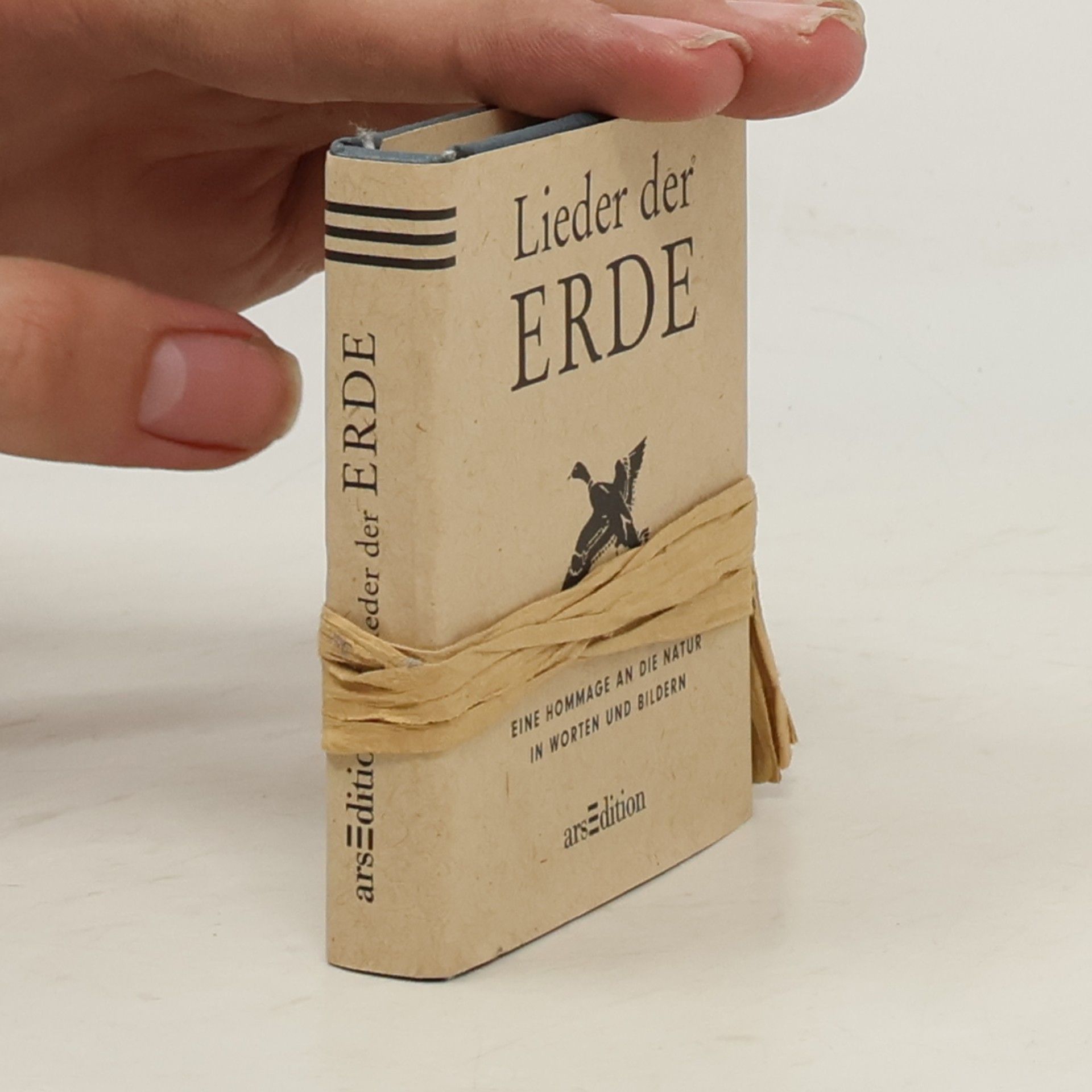 Autorenkollektiv Mini-Libri: Lieder der Erde