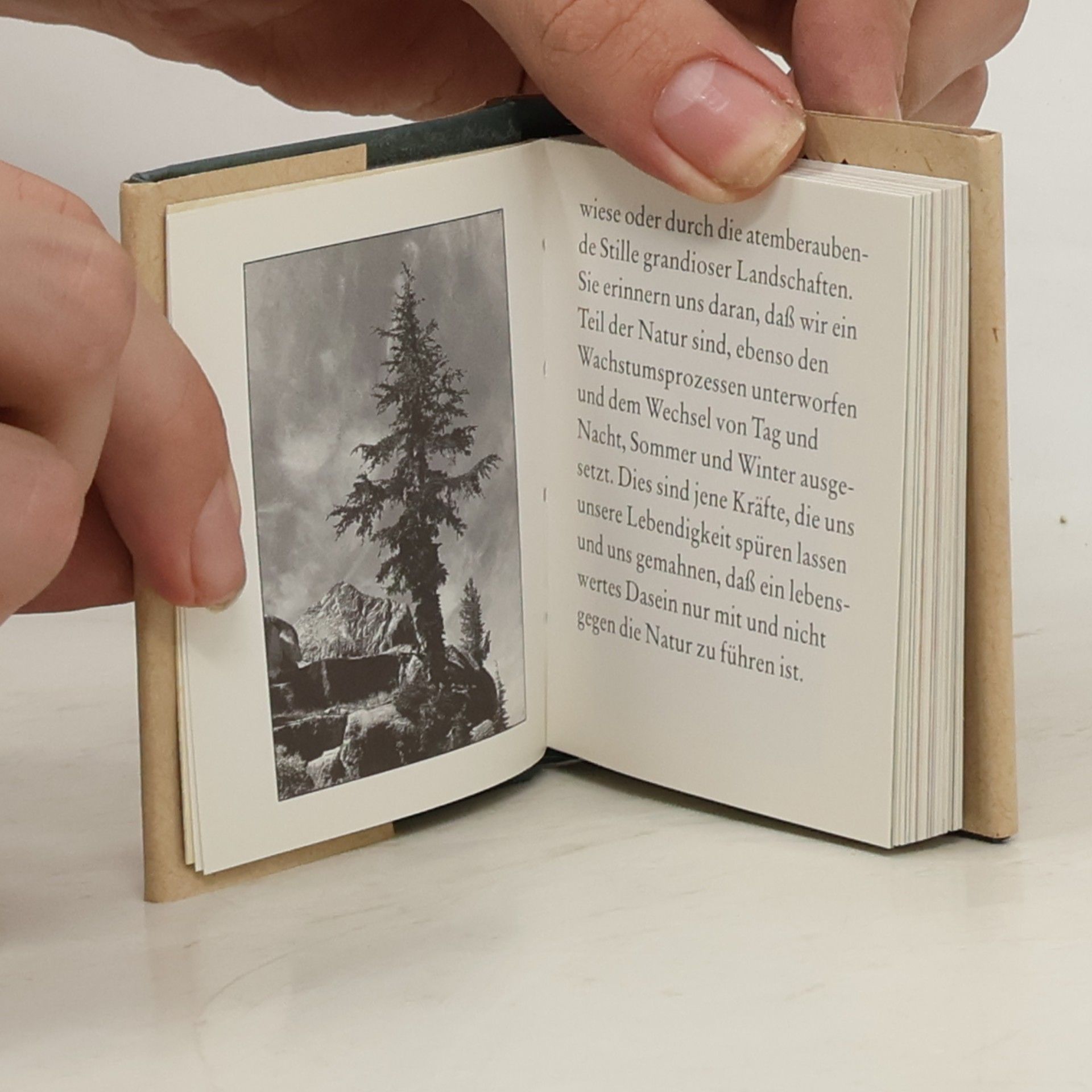 Mini-Libri: Lieder der Erde