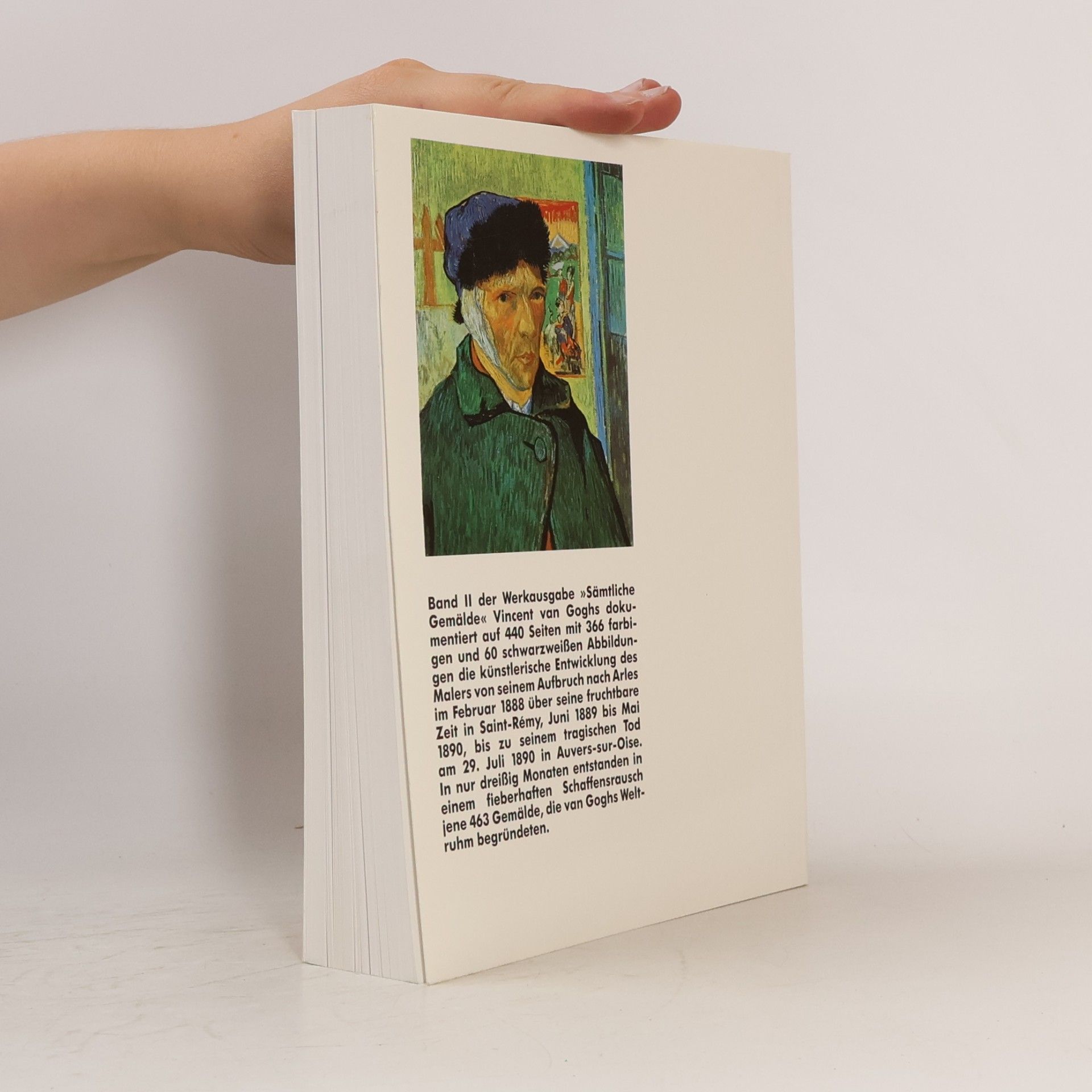 Kolektiv autorů Vincent van Gogh. Sämtliche Gemälde II