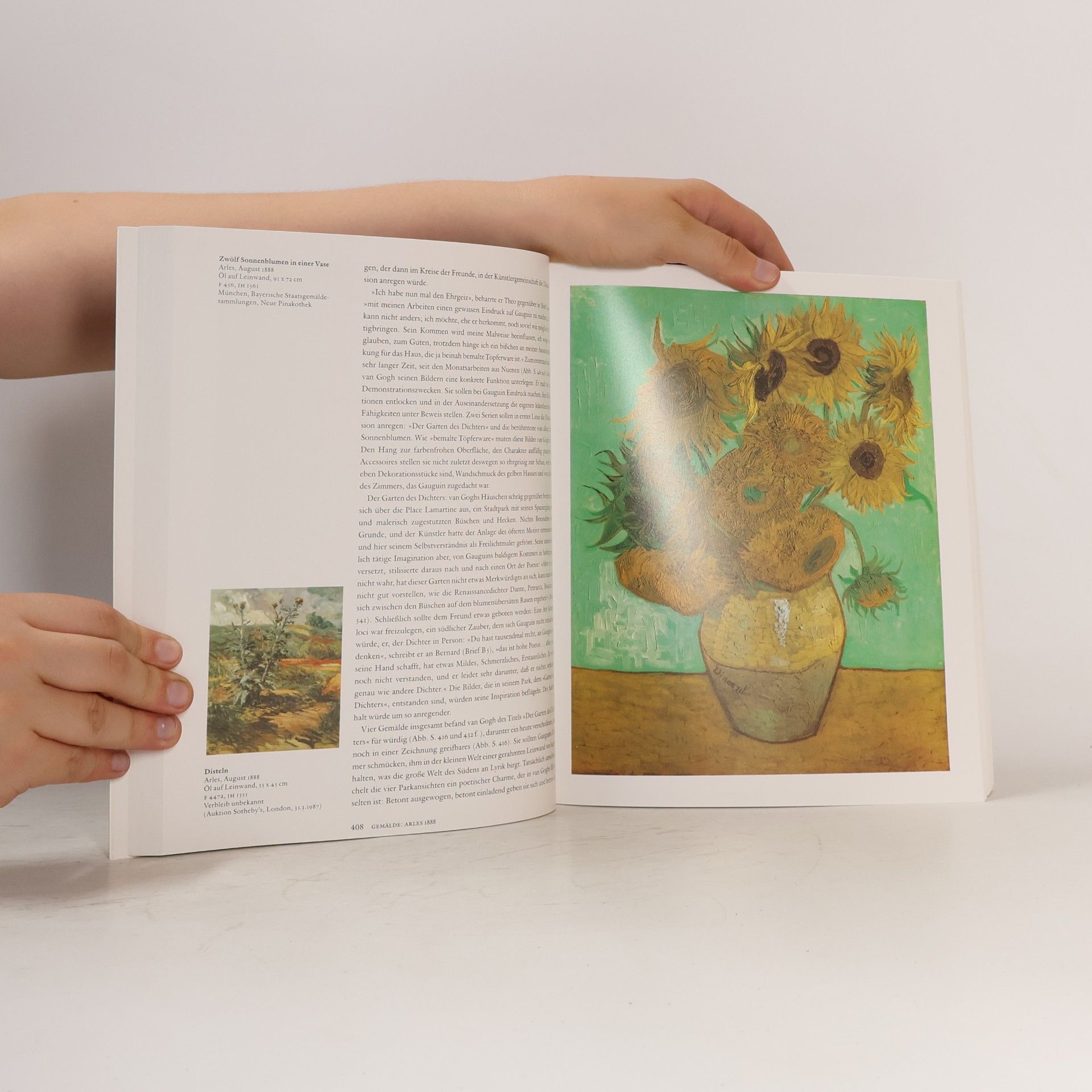 Kolektiv autorů Vincent van Gogh. Sämtliche Gemälde II