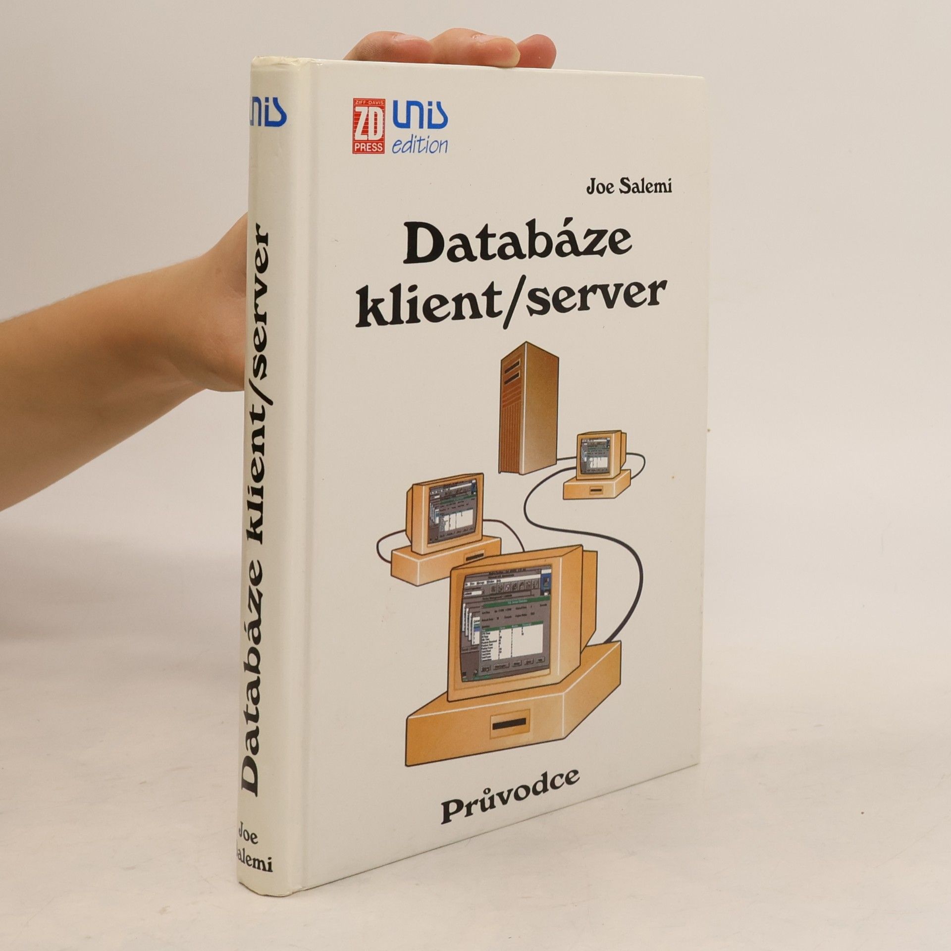 Joe Salemi Databáze klient/ server: Průvodce