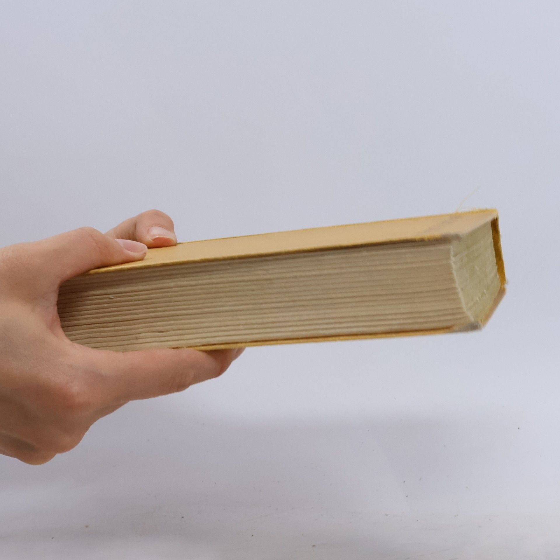 Josef Jirsík Na svobodě a za mřížemi
