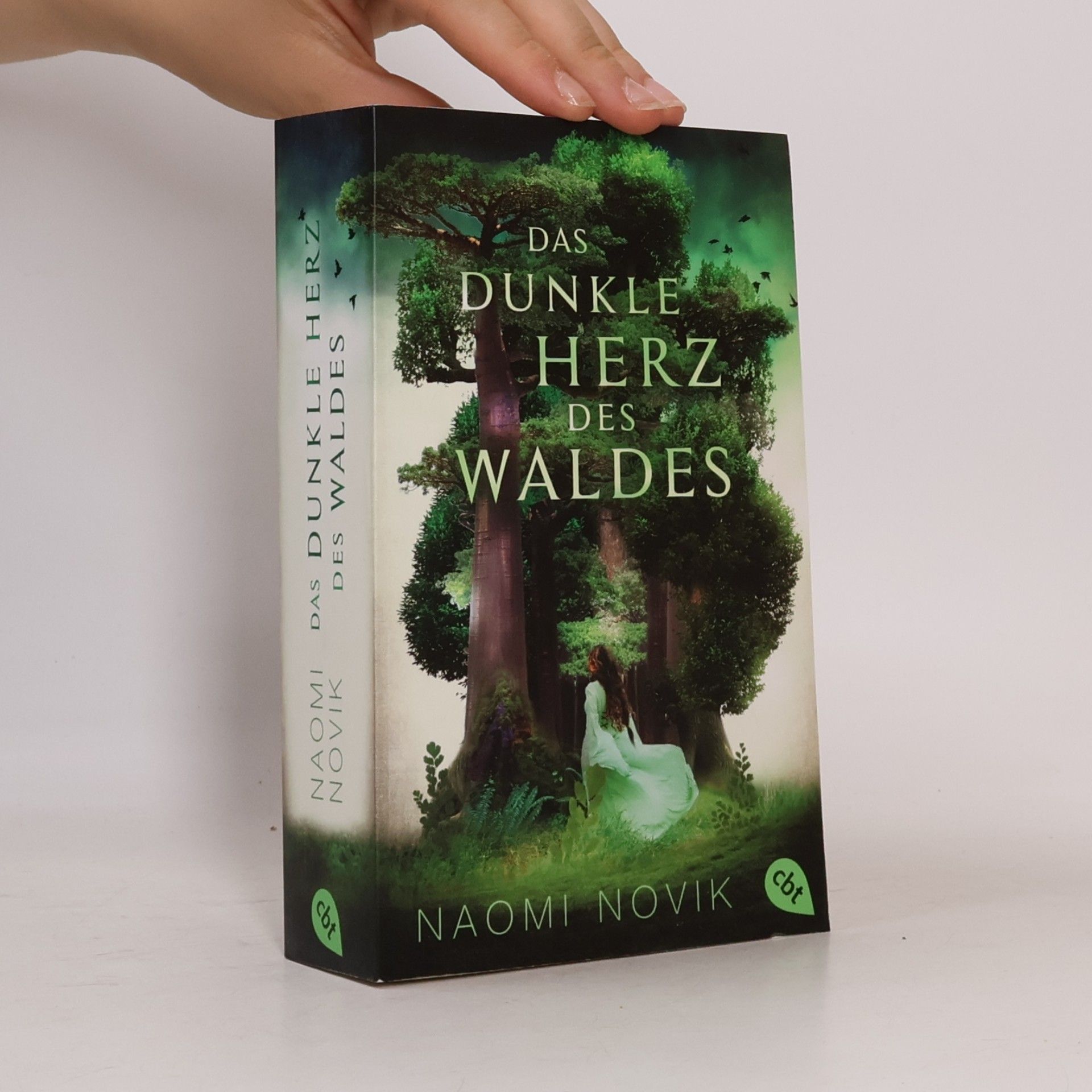 Naomi Novik Das dunkle Herz des Waldes
