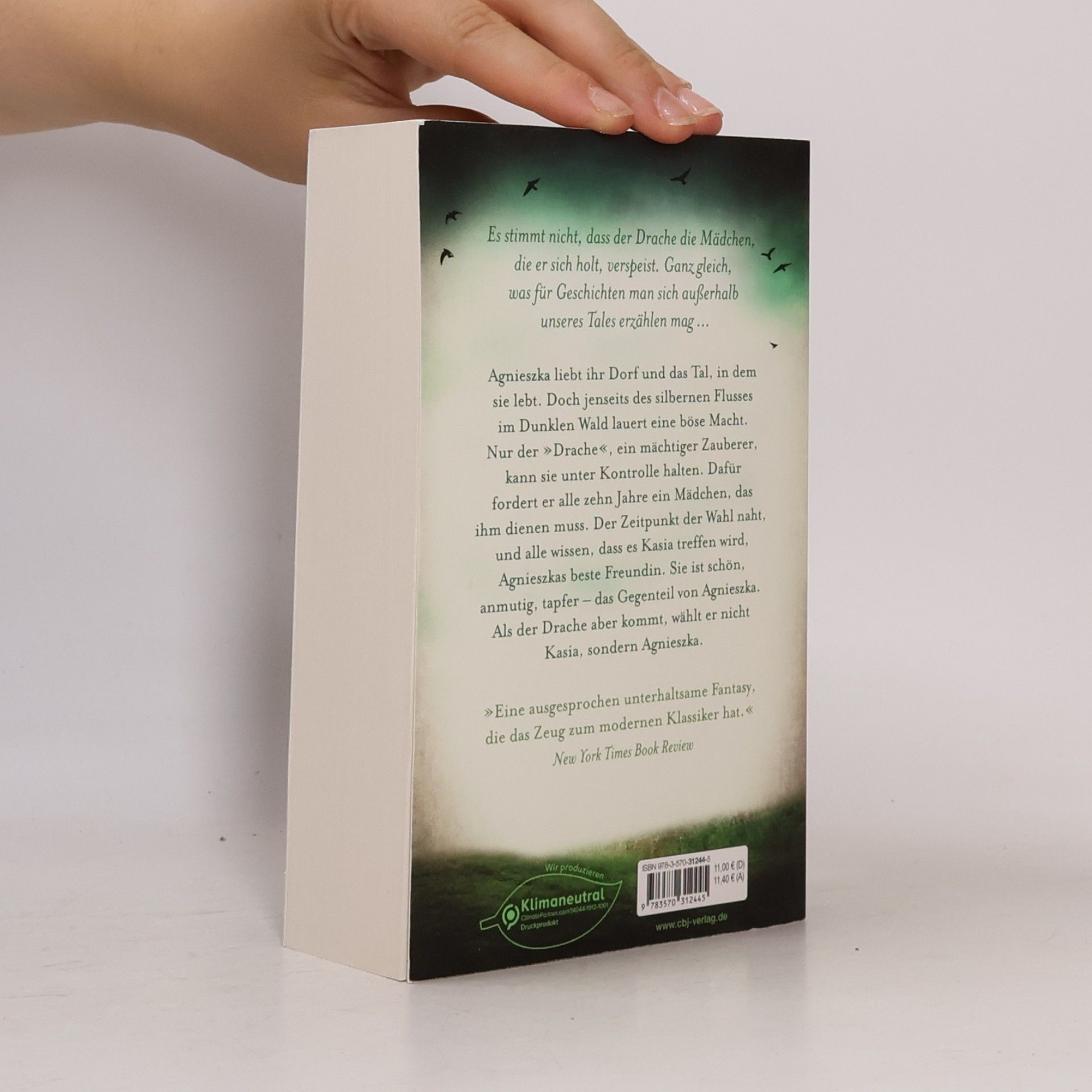 Naomi Novik Das dunkle Herz des Waldes