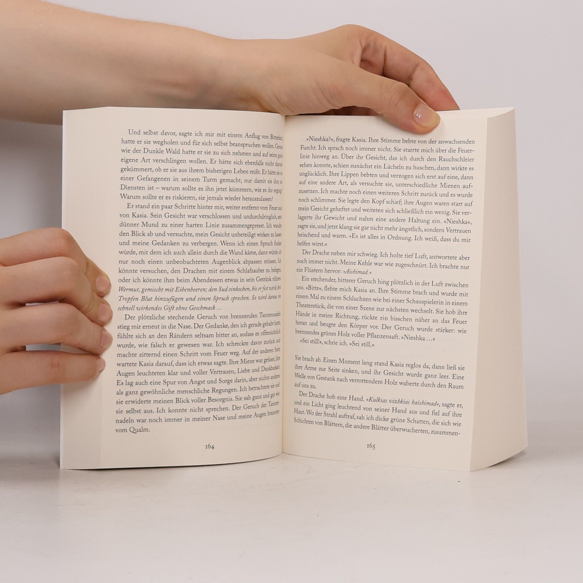 Naomi Novik Das dunkle Herz des Waldes