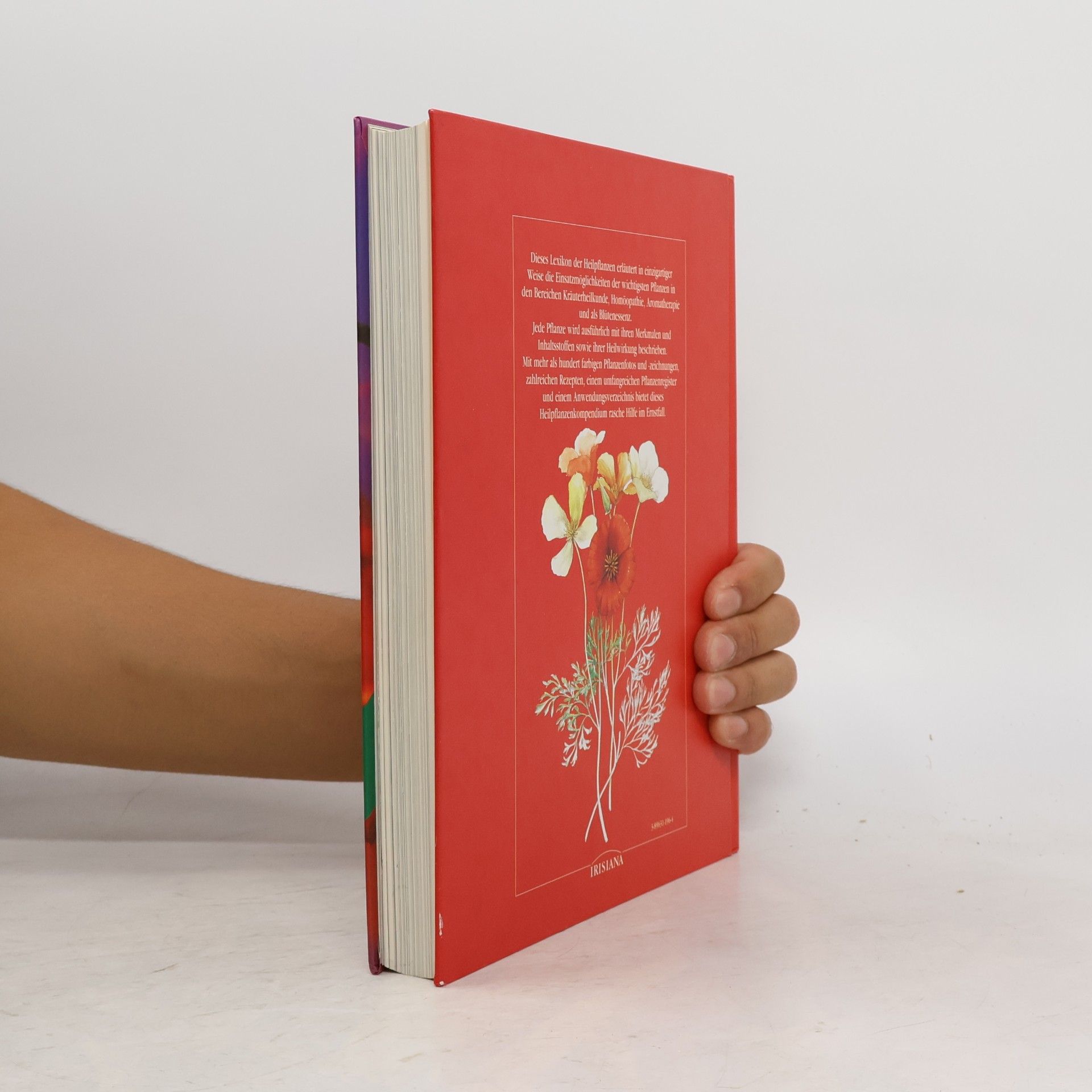 Anne McIntyre Das große Buch der heilenden Pflanzen