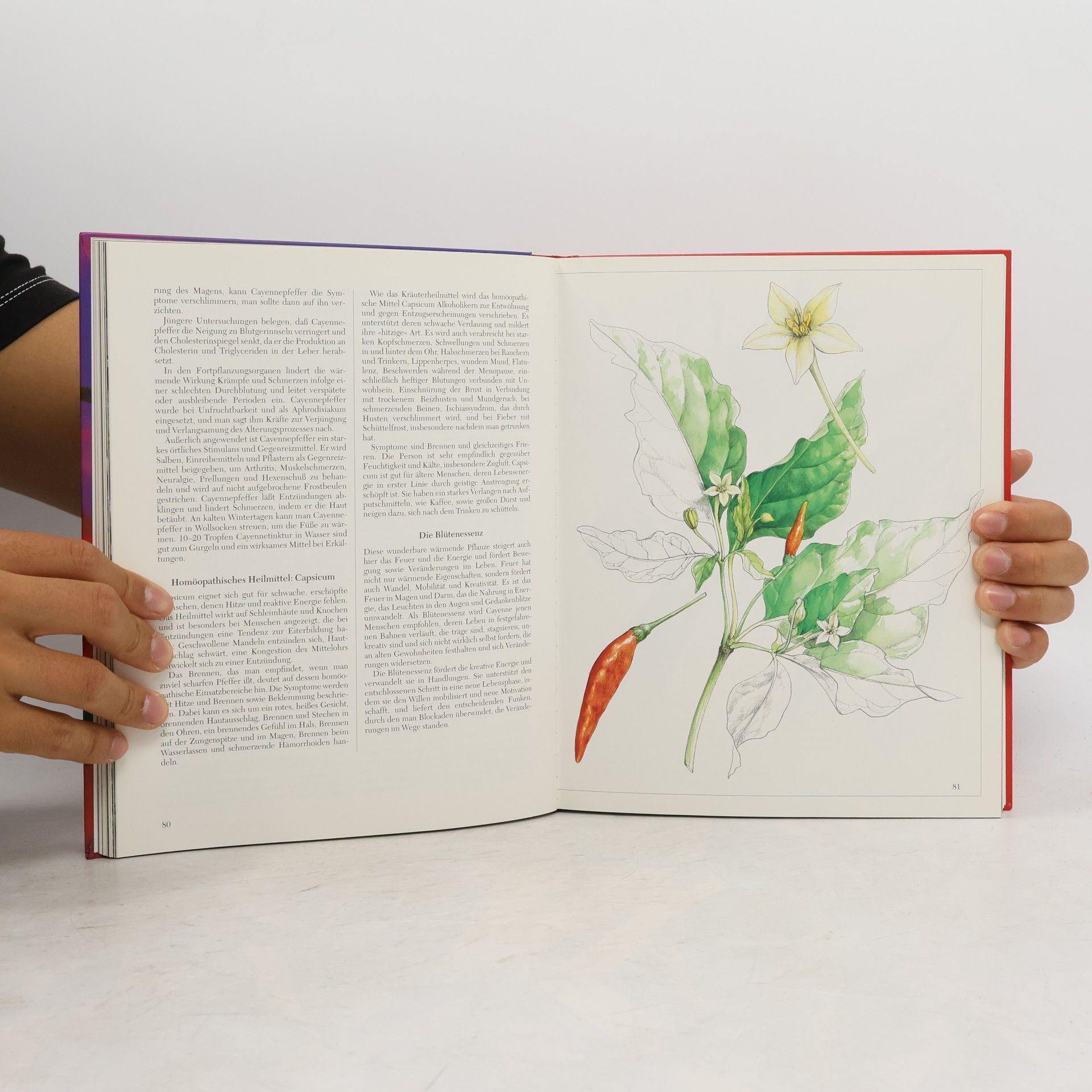 Anne McIntyre Das große Buch der heilenden Pflanzen
