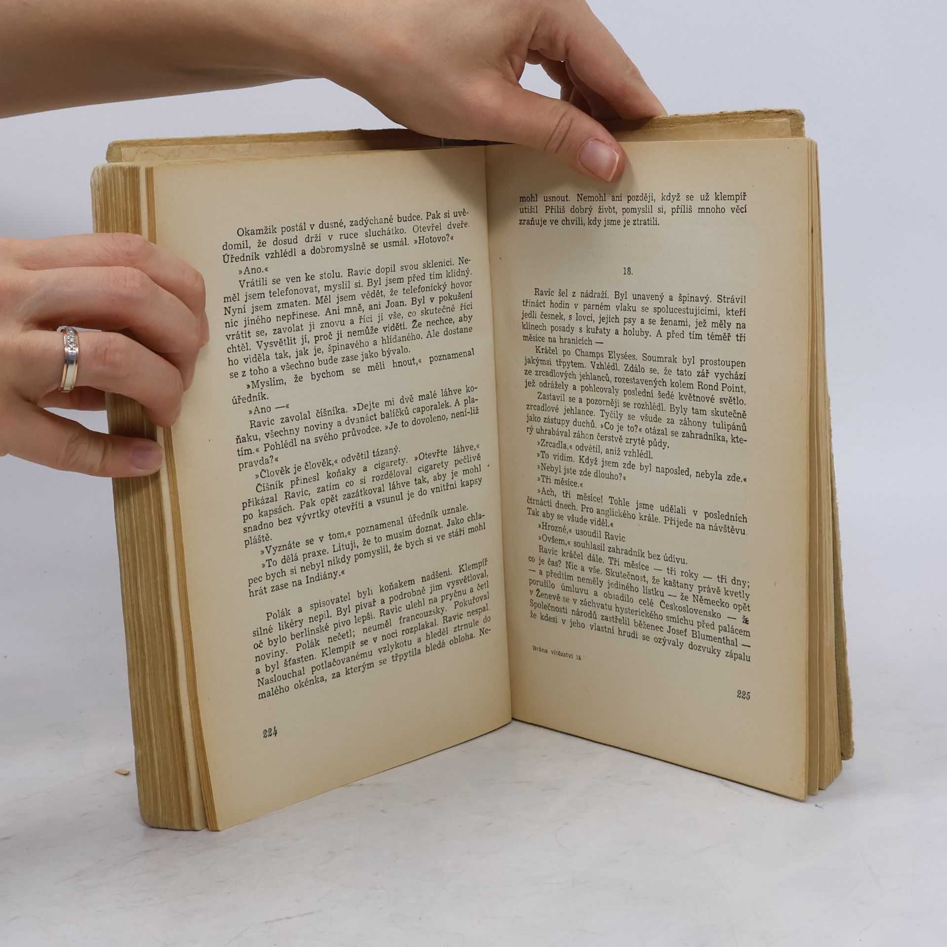 Erich Maria Remarque Brána vítězství