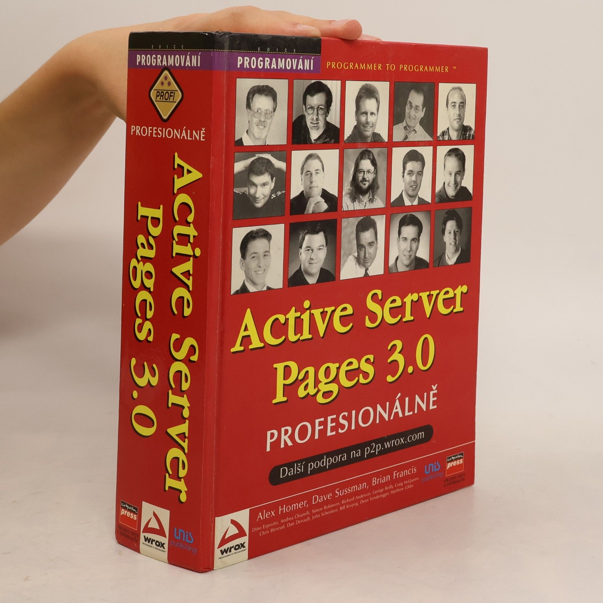 David Brůha Active Server Pages 3.0 profesionálně
