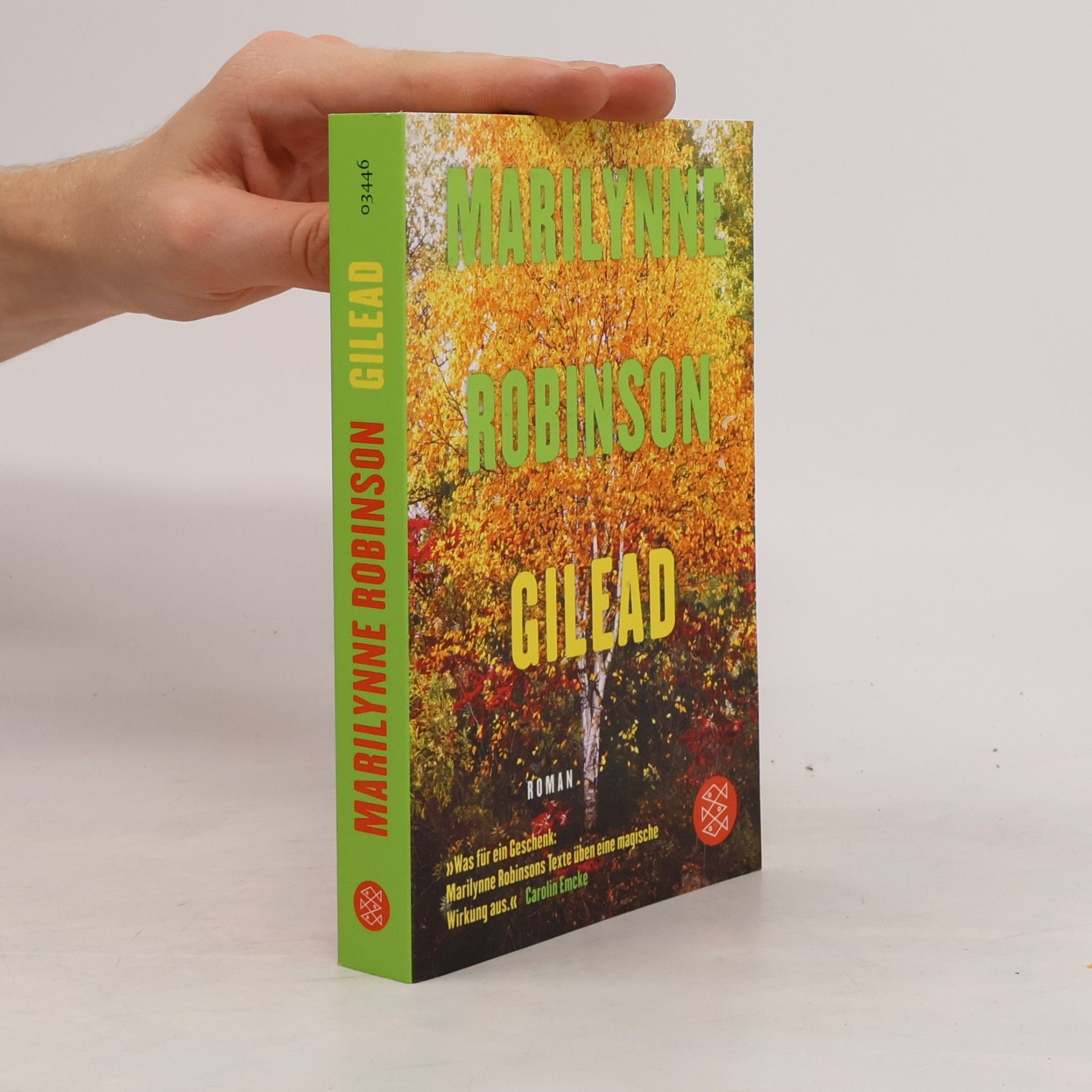 Marilynne Robinson Gilead