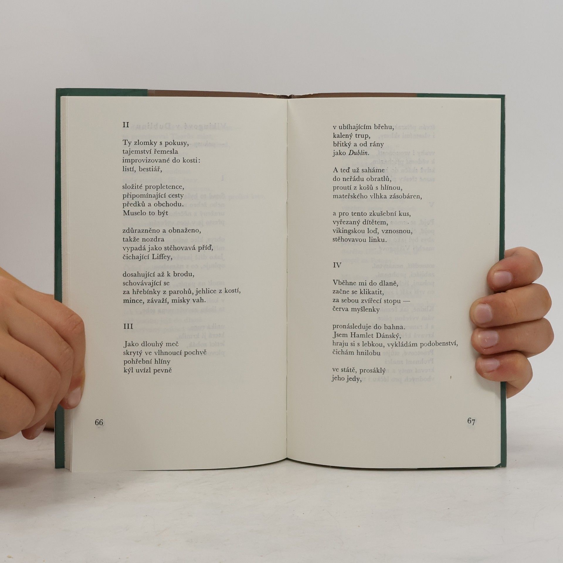 Seamus Heaney Přezimování pod širým nebem