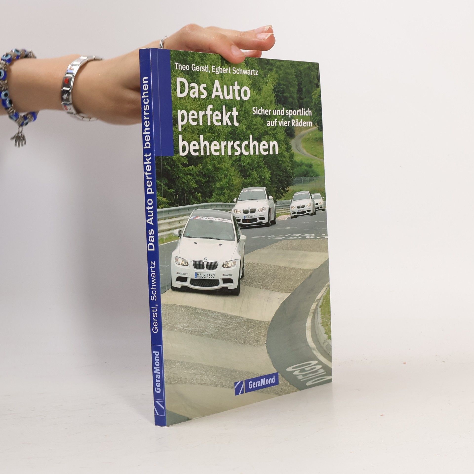 Egbert Schwartz Das Auto perfekt beherrschen