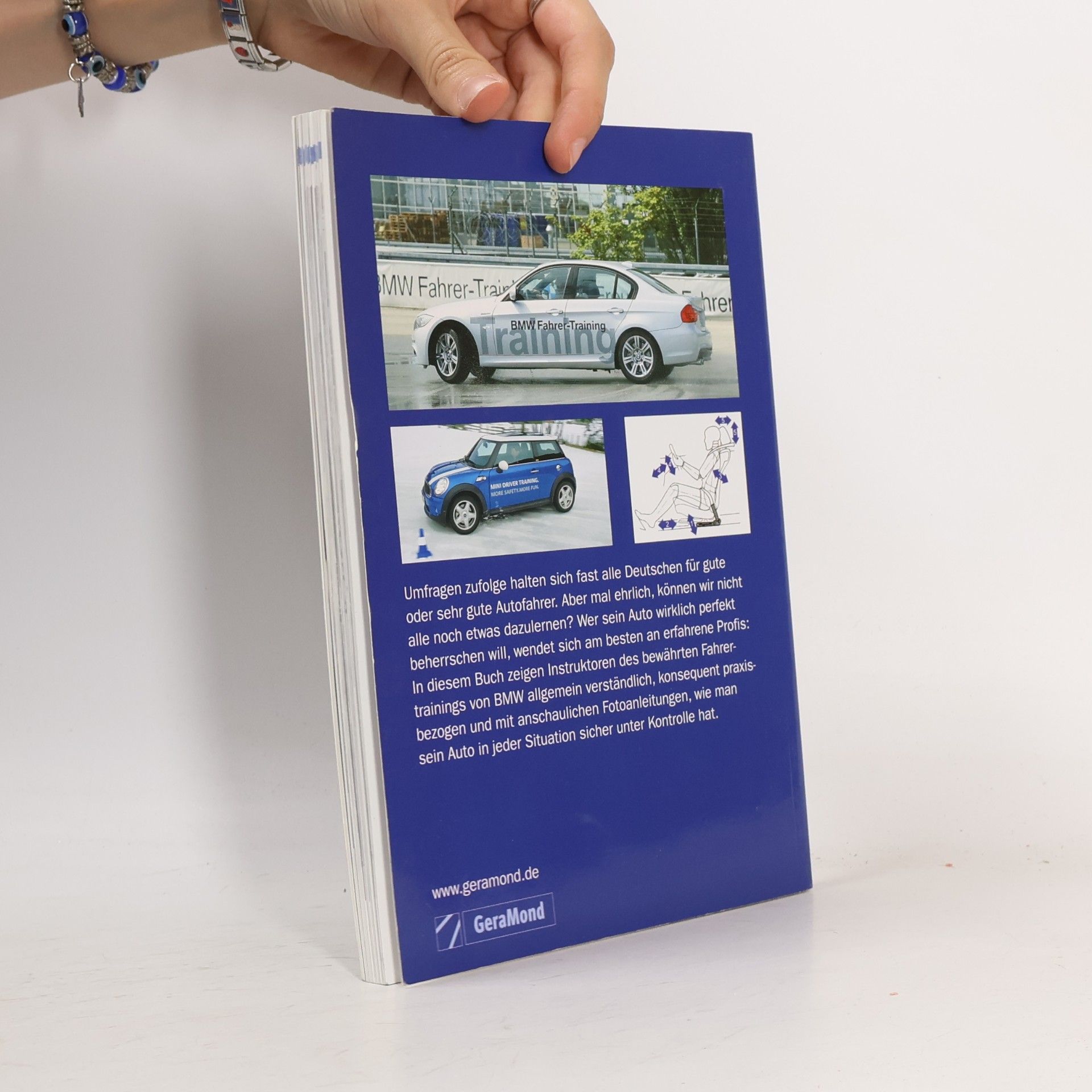 Theo Gerstl Das Auto perfekt beherrschen