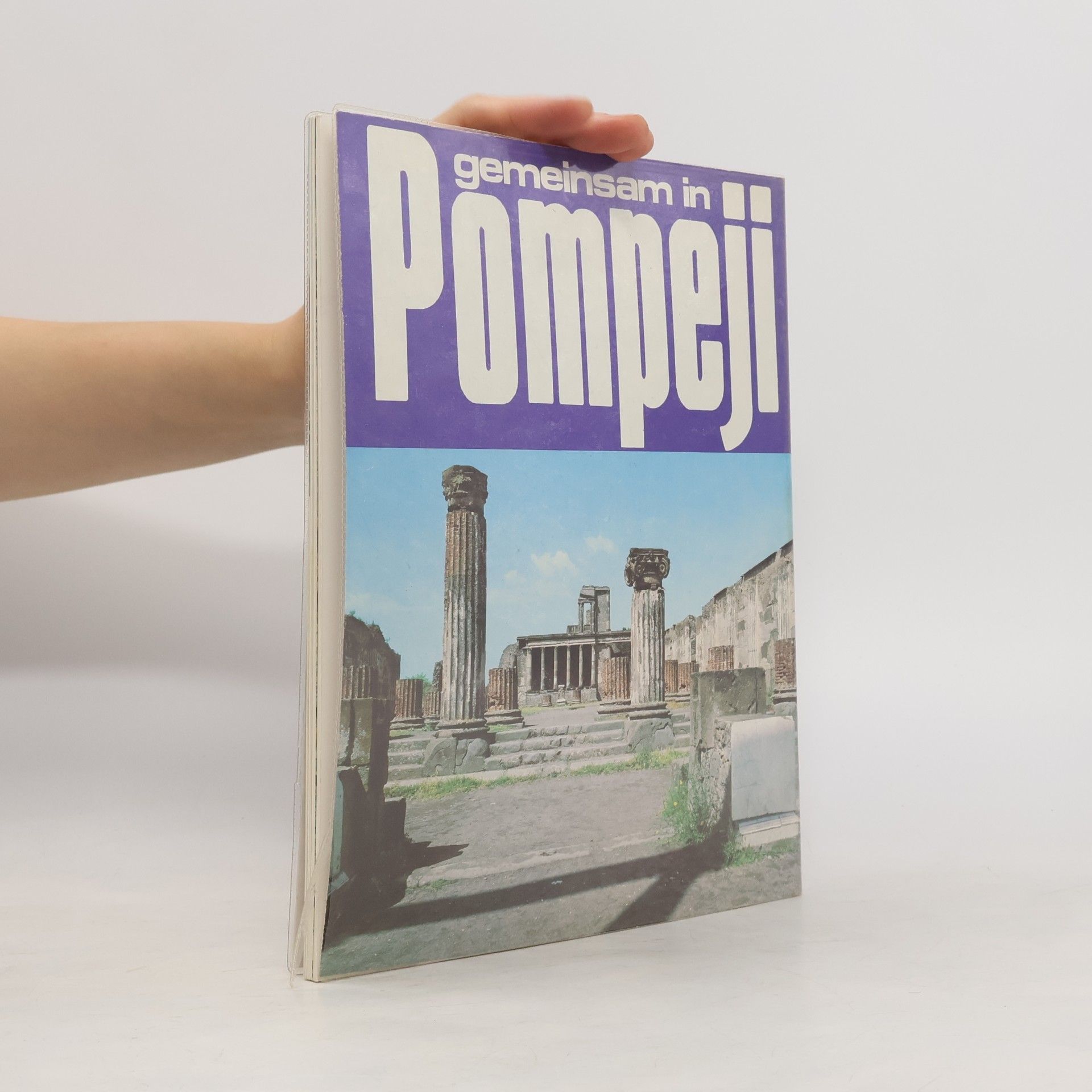 Piemme D'Orta Insieme a Pompei