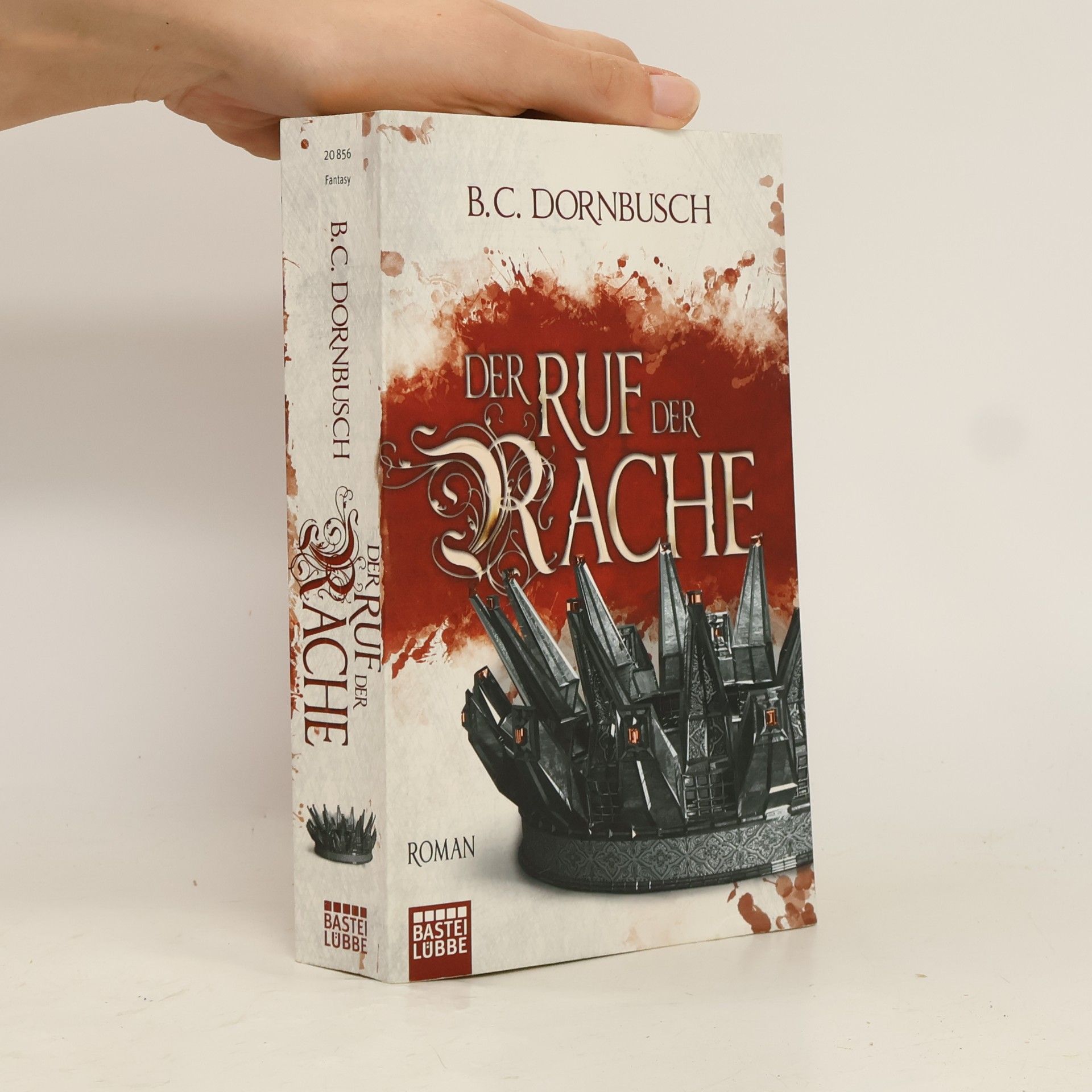 B. C. Dornbusch Der Ruf der Rache