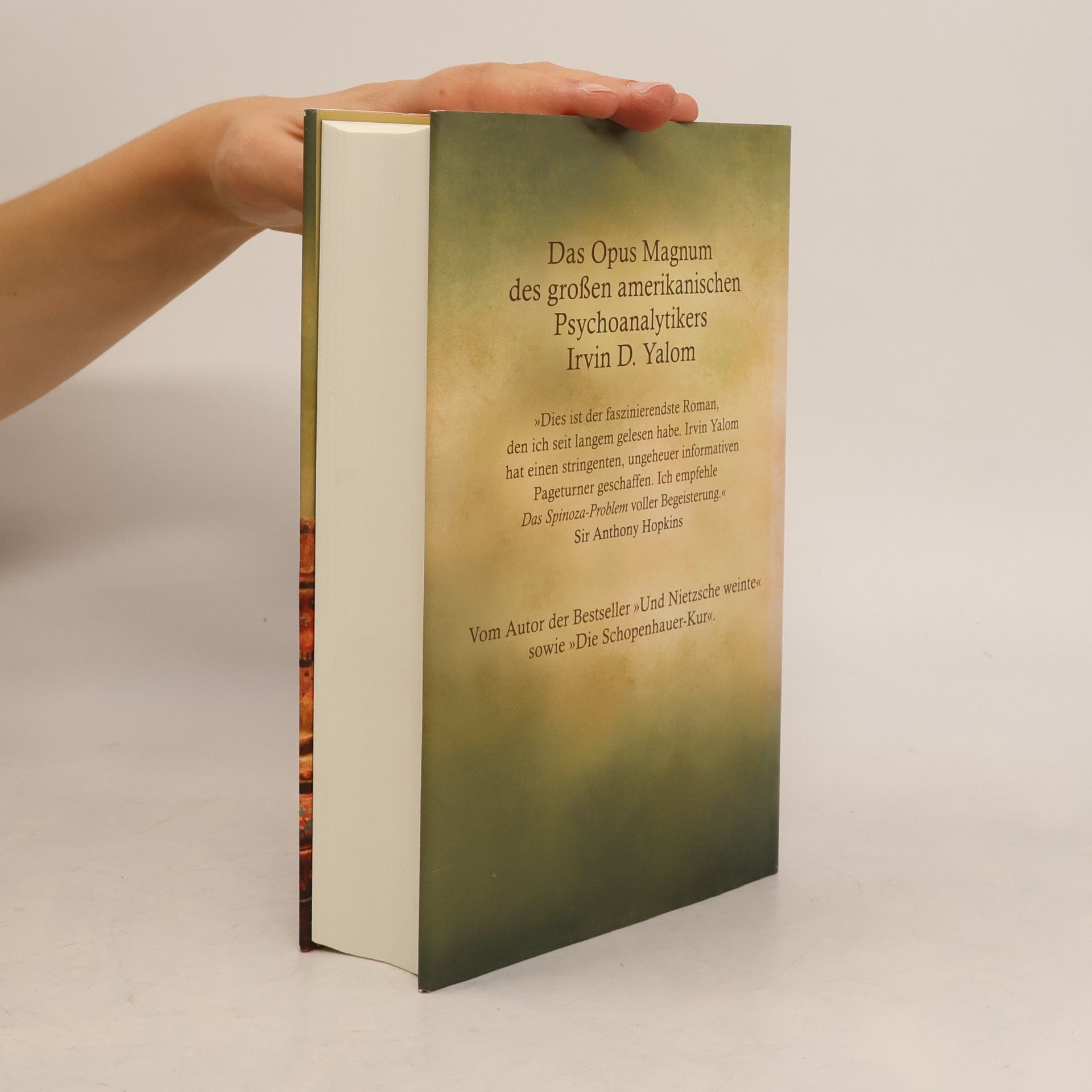 Irvin D. Yalom Das Spinoza-Problem