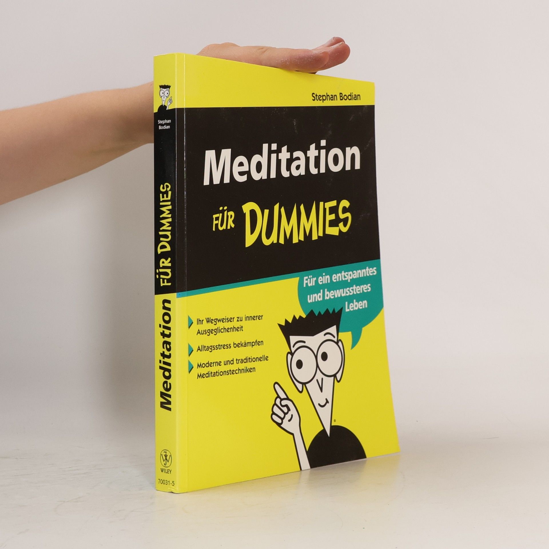 Stephan Bodian Meditation für Dummies