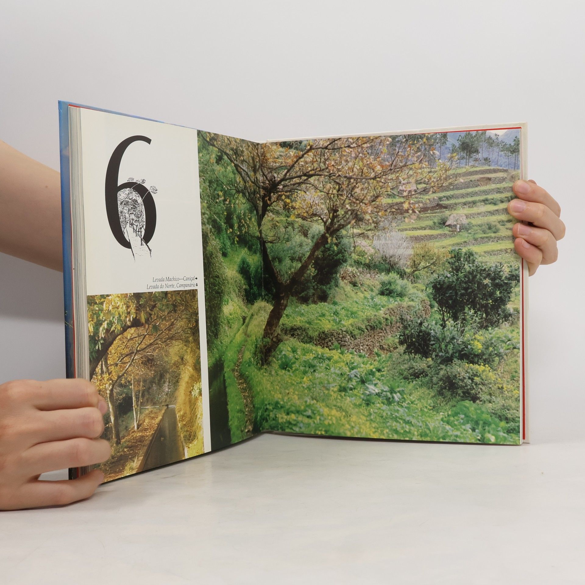John Underwood Das Madeira-Buch