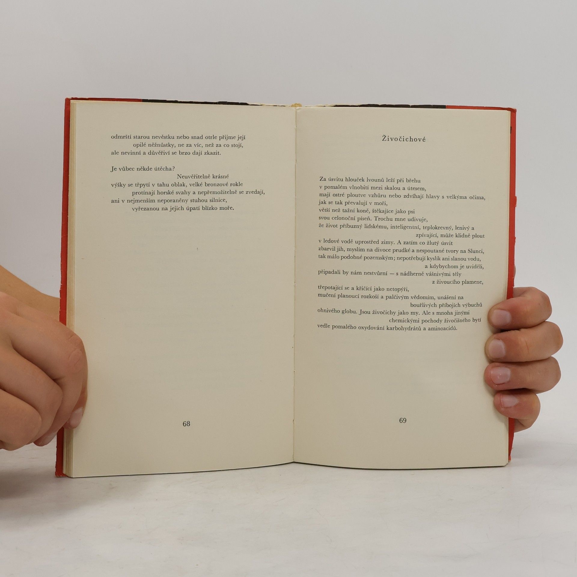 Robinson Jeffers Jestřábí křik