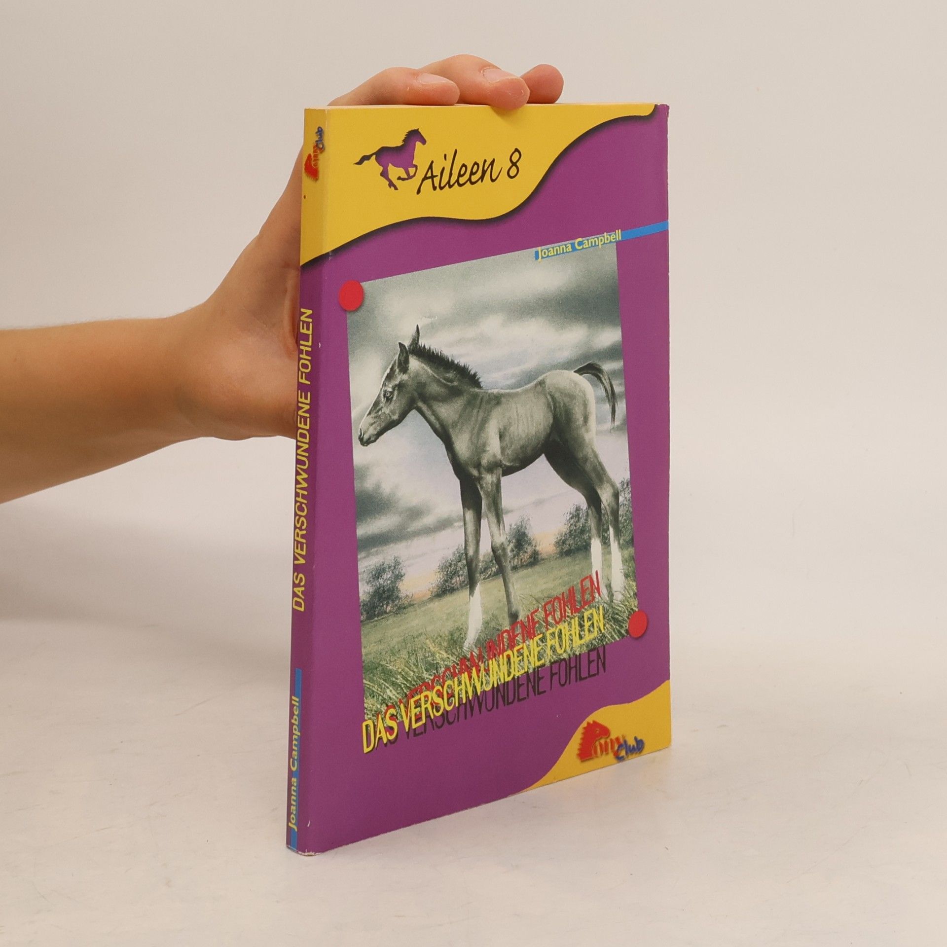 Joanna Campbell Aileen 8, Das Verschwundene Fohlen