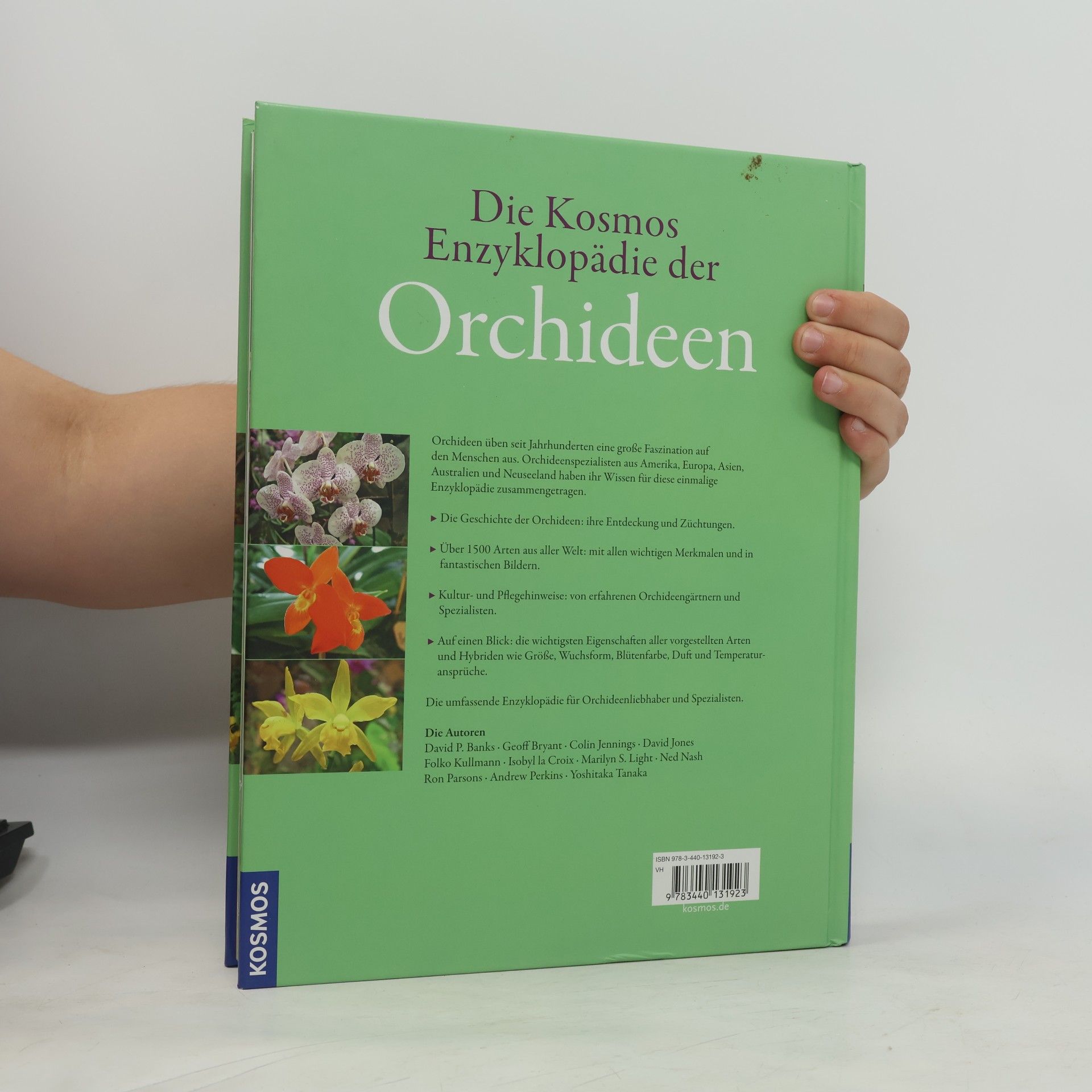 Folko Kullmann Die Kosmos-Enzyklopädie der Orchideen