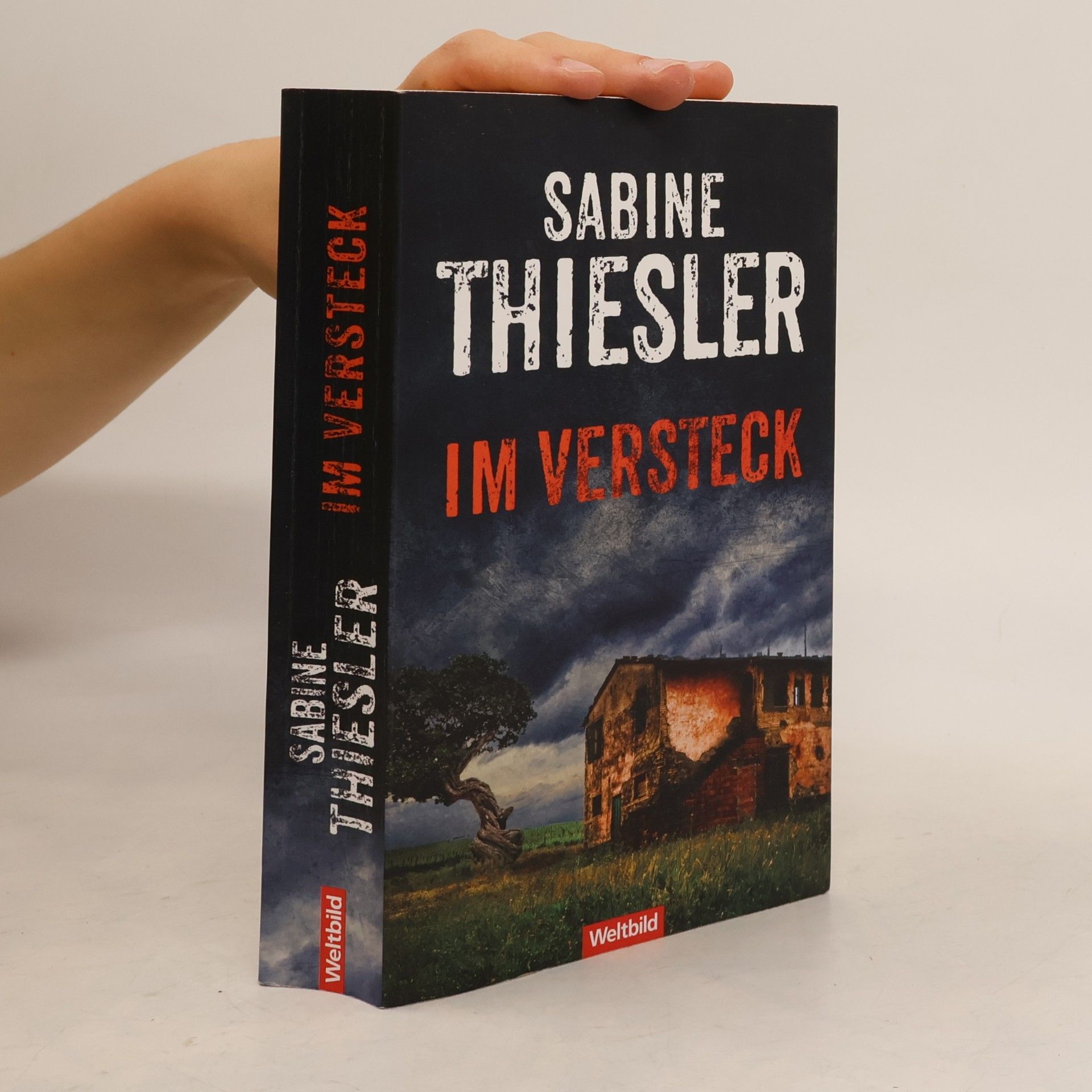 Sabine Thiesler Im Versteck