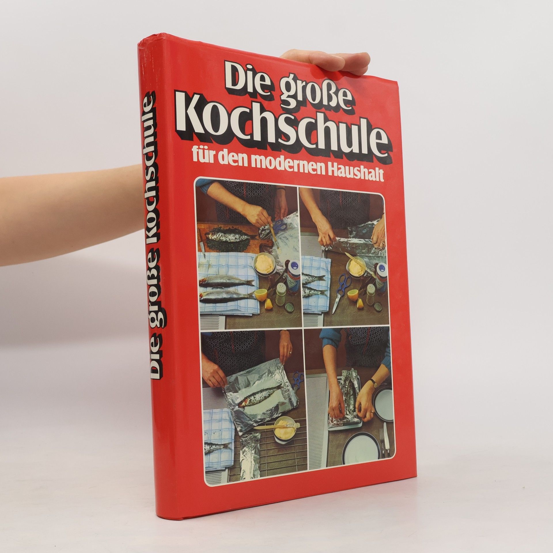 Die große Kochschule für den modernen Haushalt