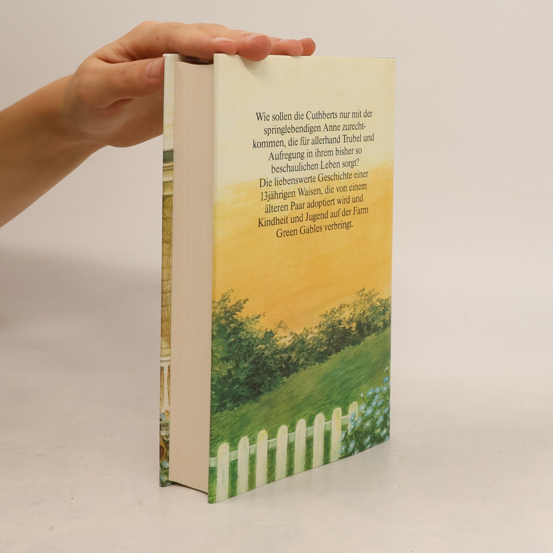 Lucy Maud Montgomery Anne auf Green Gables