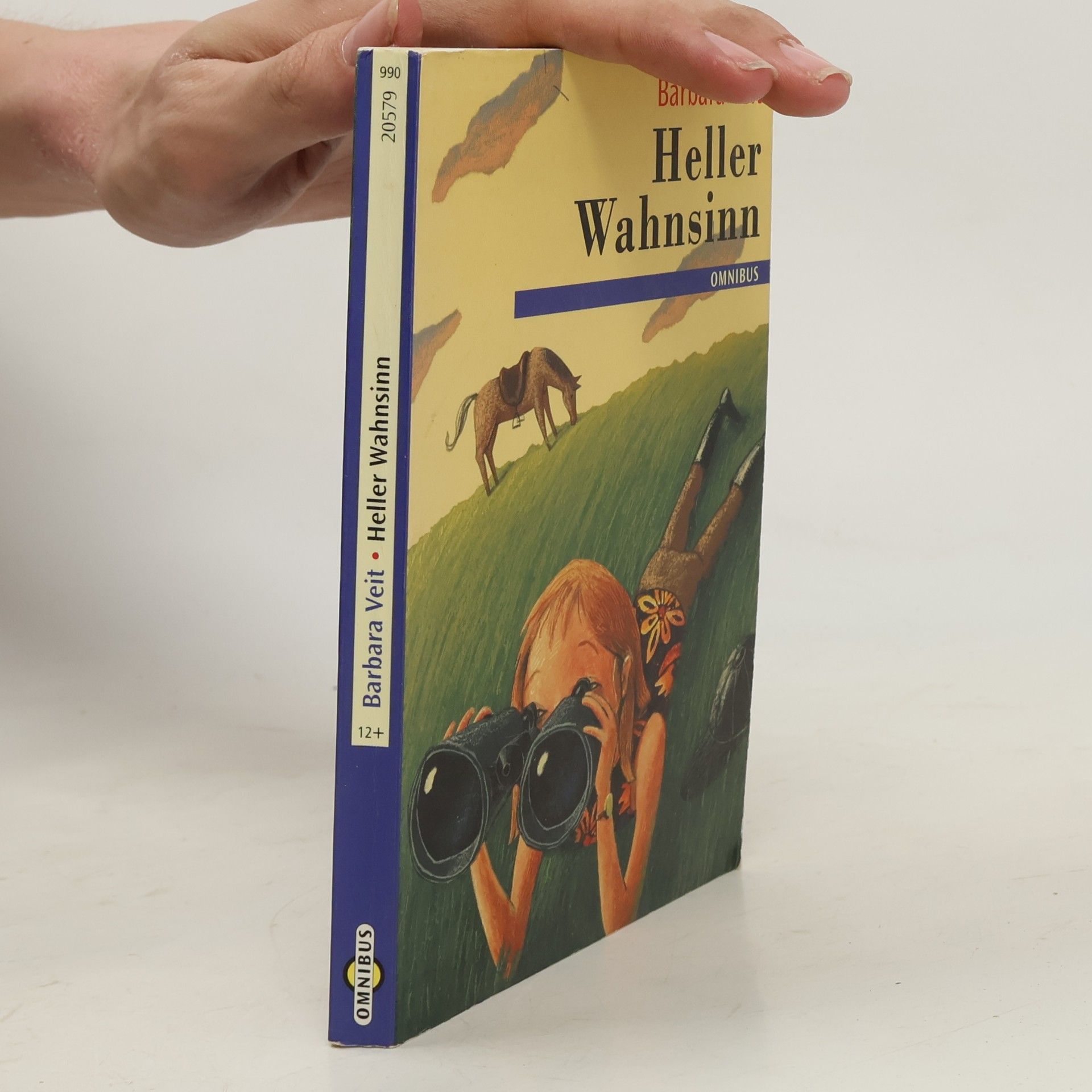 Barbara Veit Heller Wahnsinn