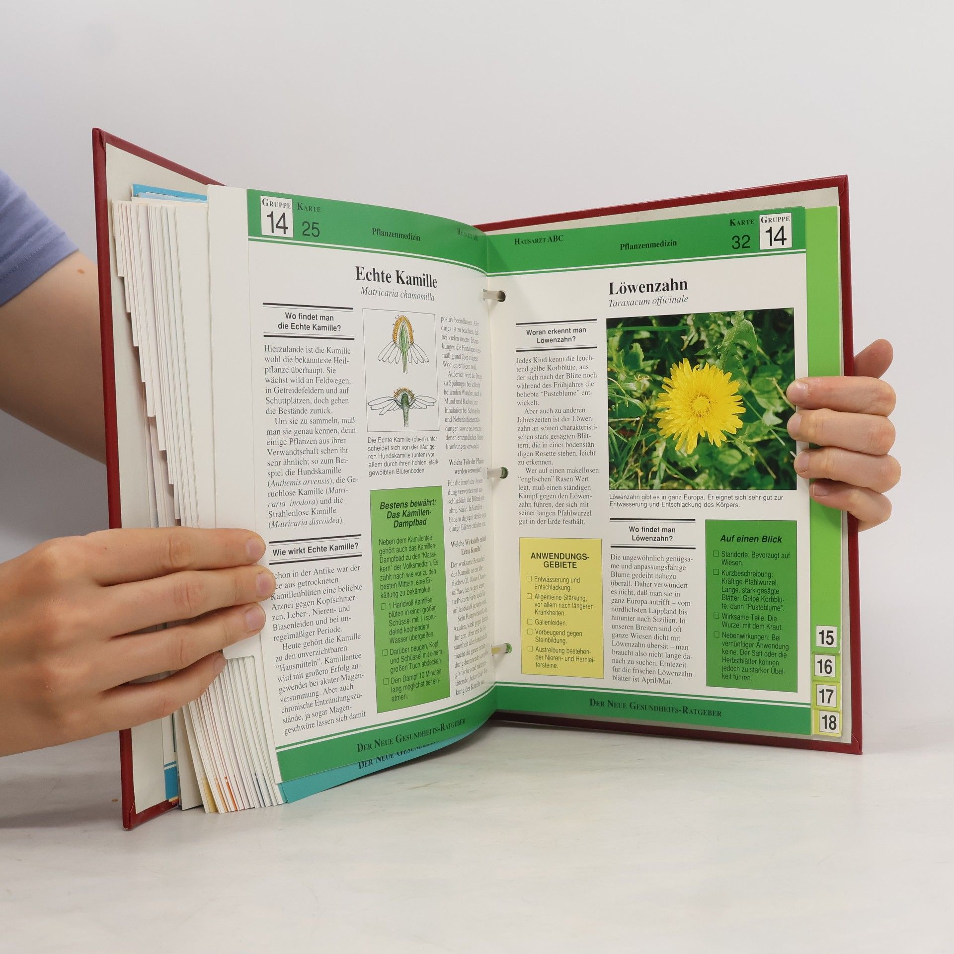 Autorenkollektiv Hausarzt ABC: Der Neue Gesundheits-Ratgeber