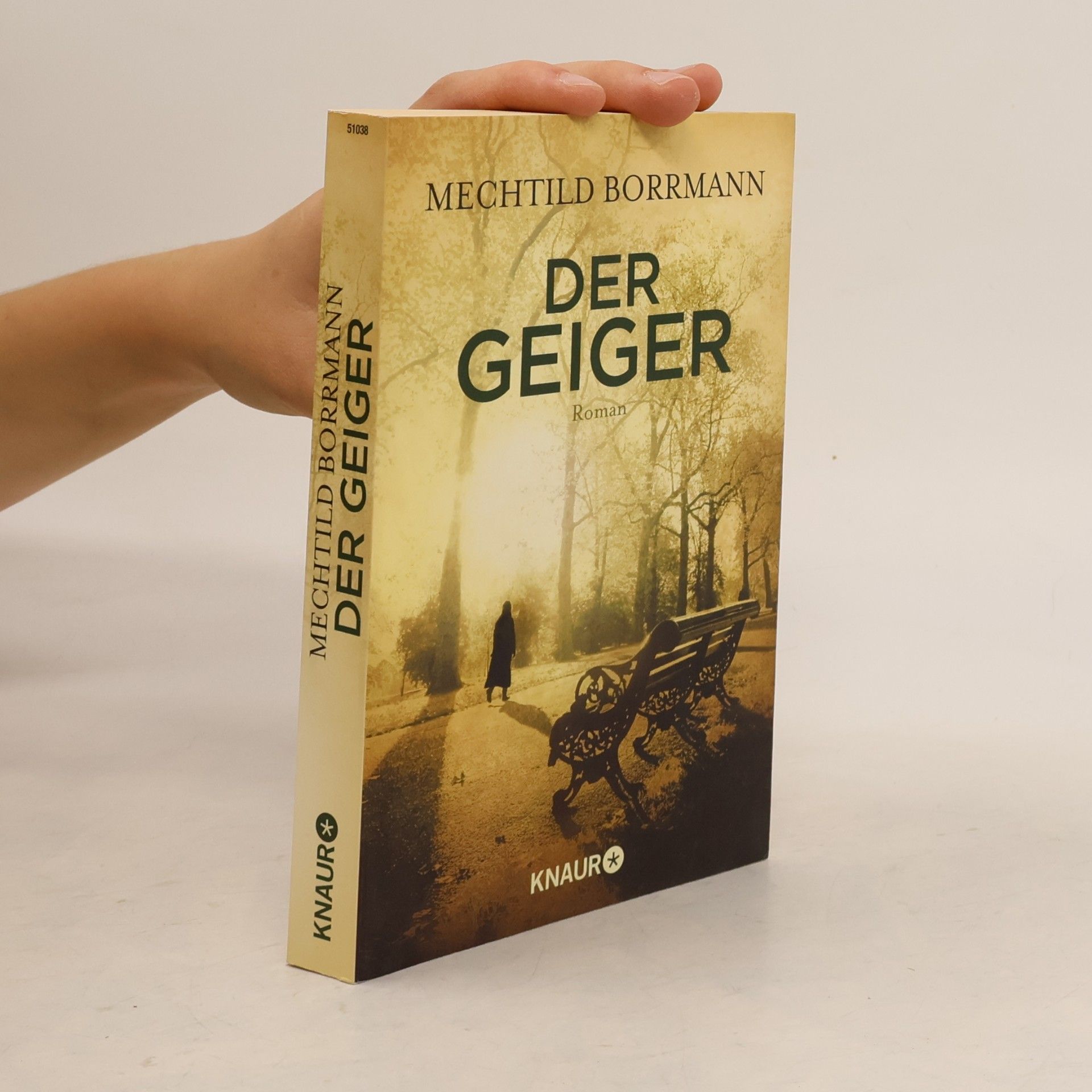 Mechtild Borrmann Der Geiger