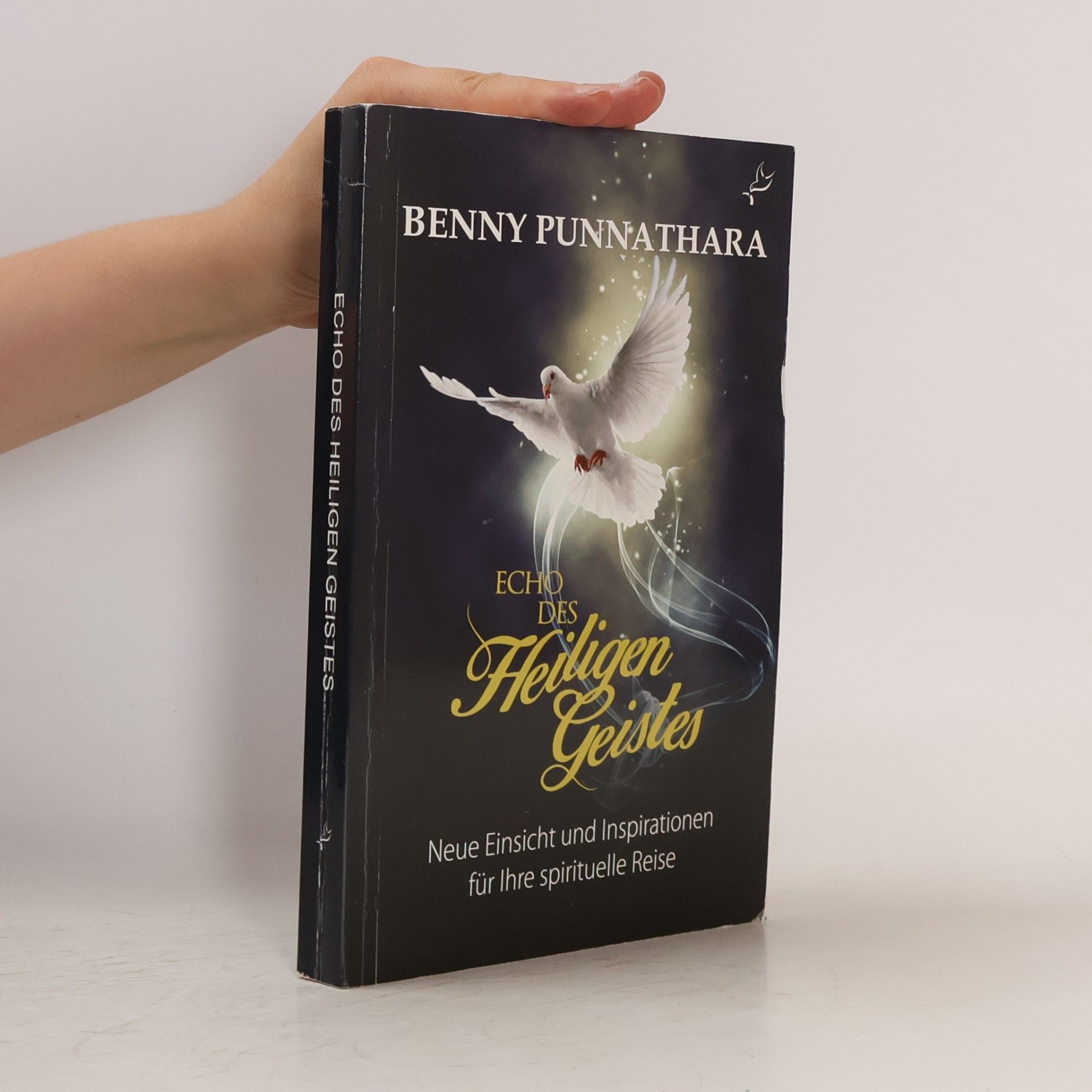 Benny Punnathara Echo des Heiligen Geistes