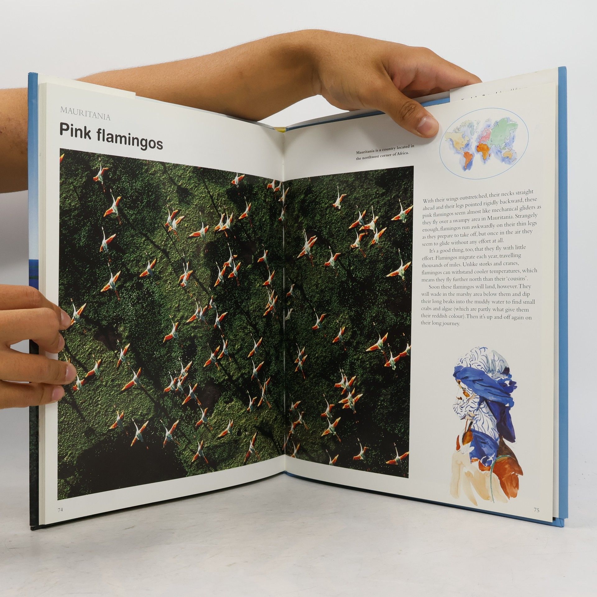 Yann Arthus-Bertrand The Earth from the Air for Children
