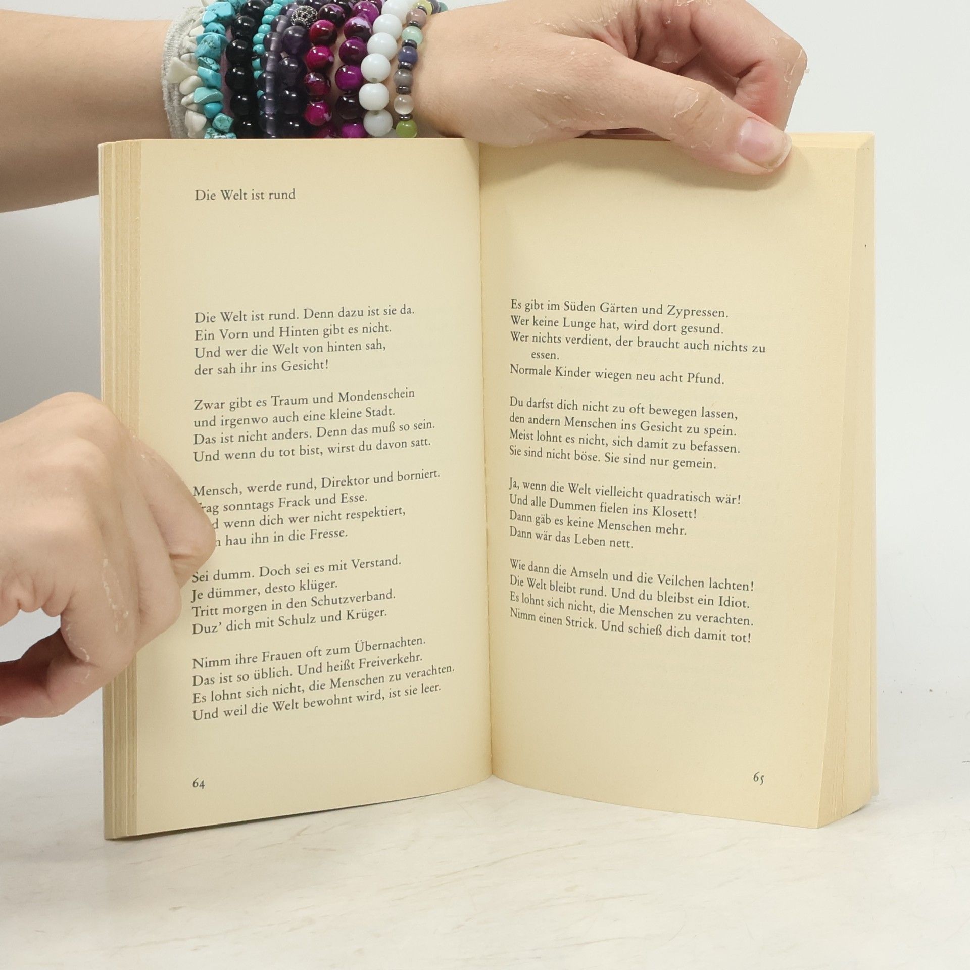 Erich Kästner Bei Durchsicht meiner Bücher