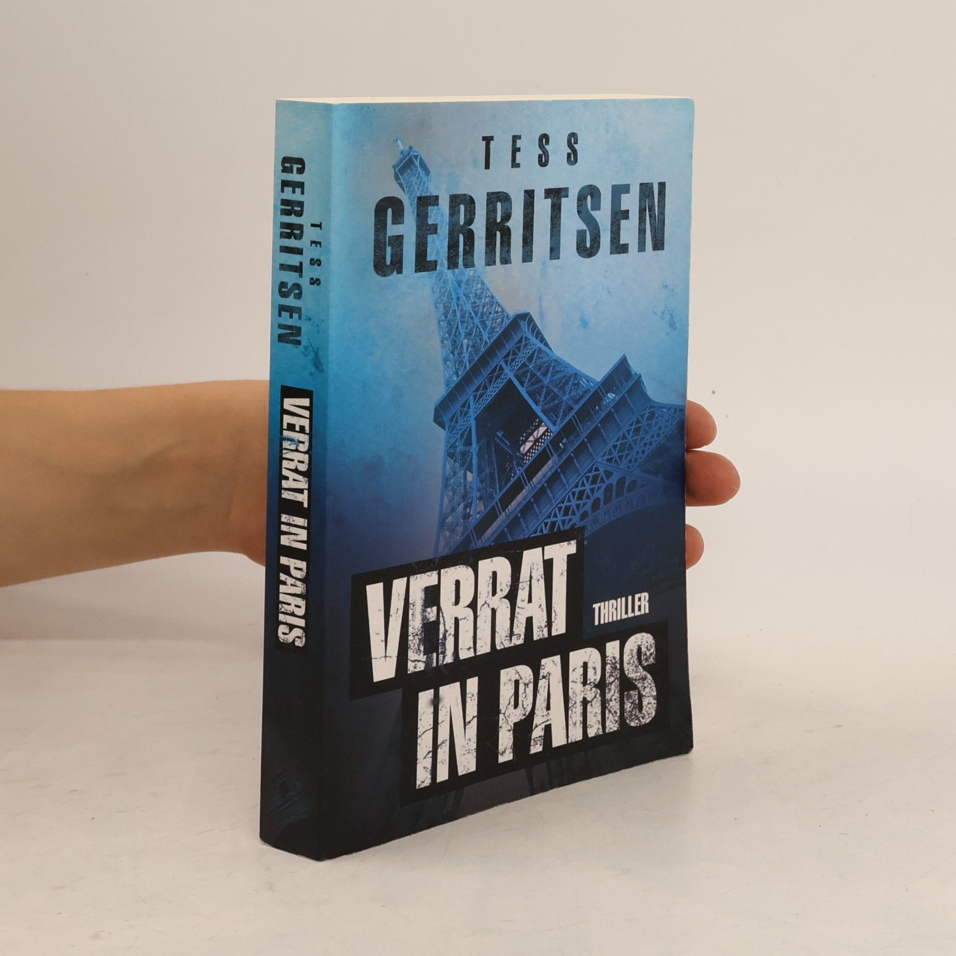 Tess Gerritsen Verrat in Paris