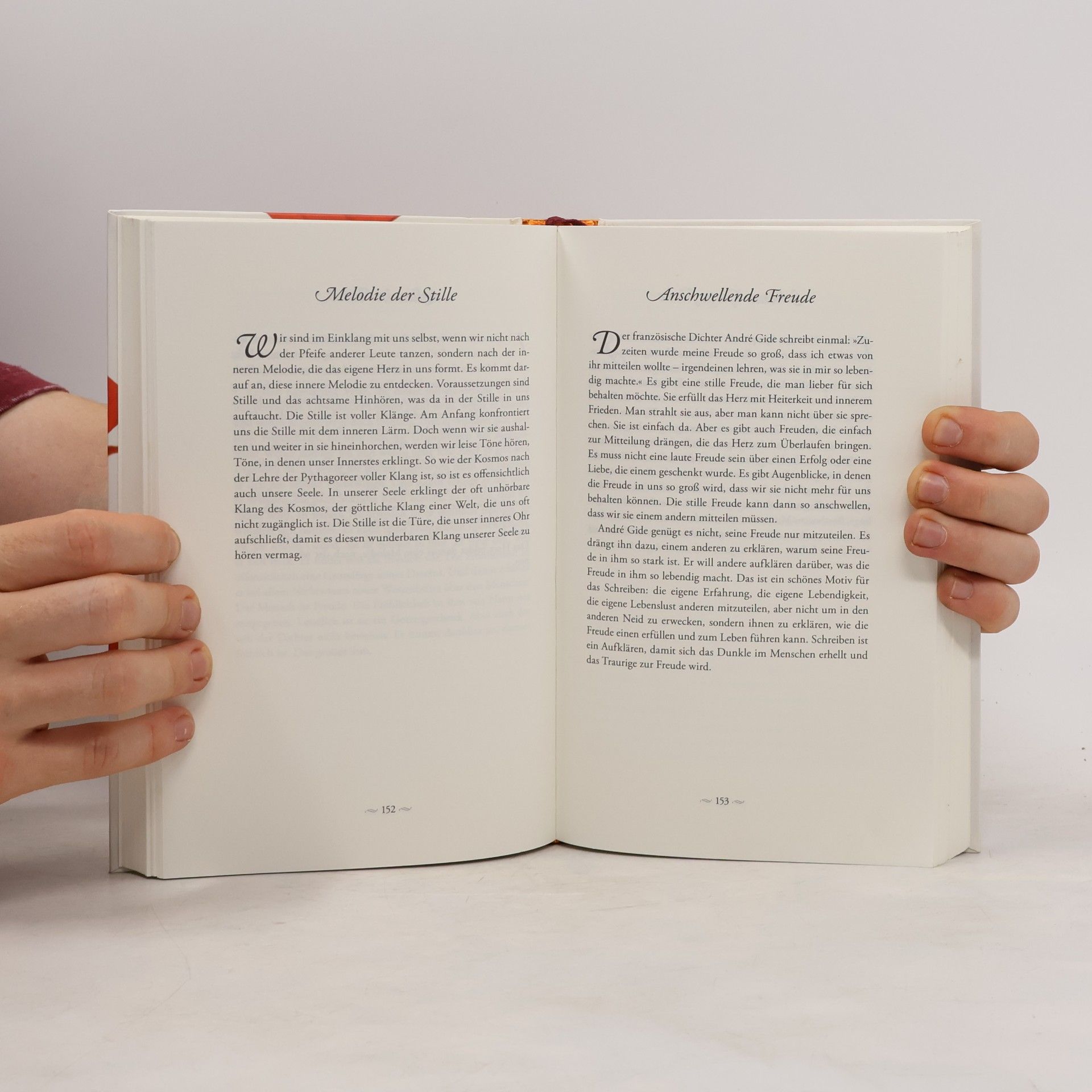 Anselm Grün Das große Buch vom wahren Glück