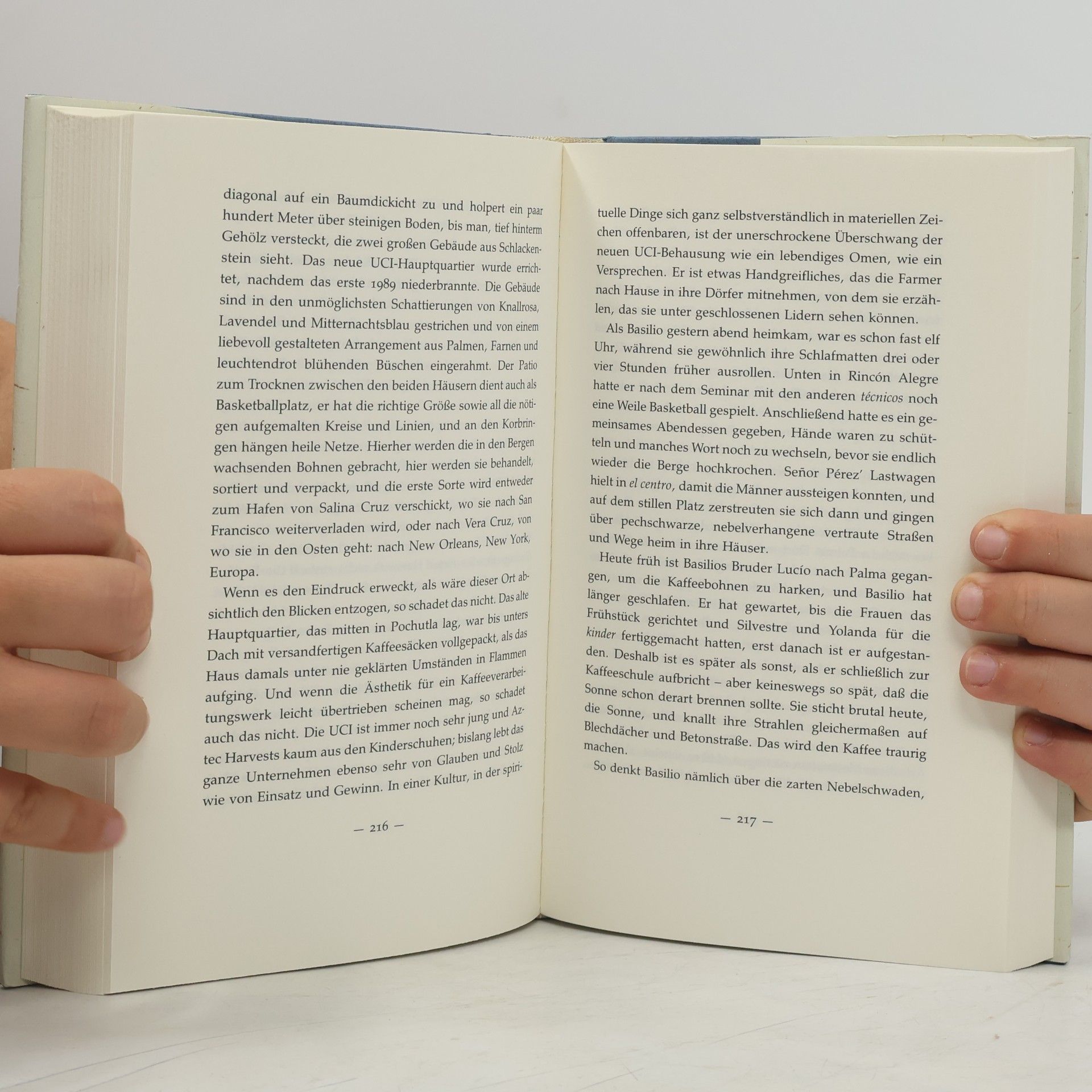 Leah Hager Cohen Glas, Bohnen, Papier