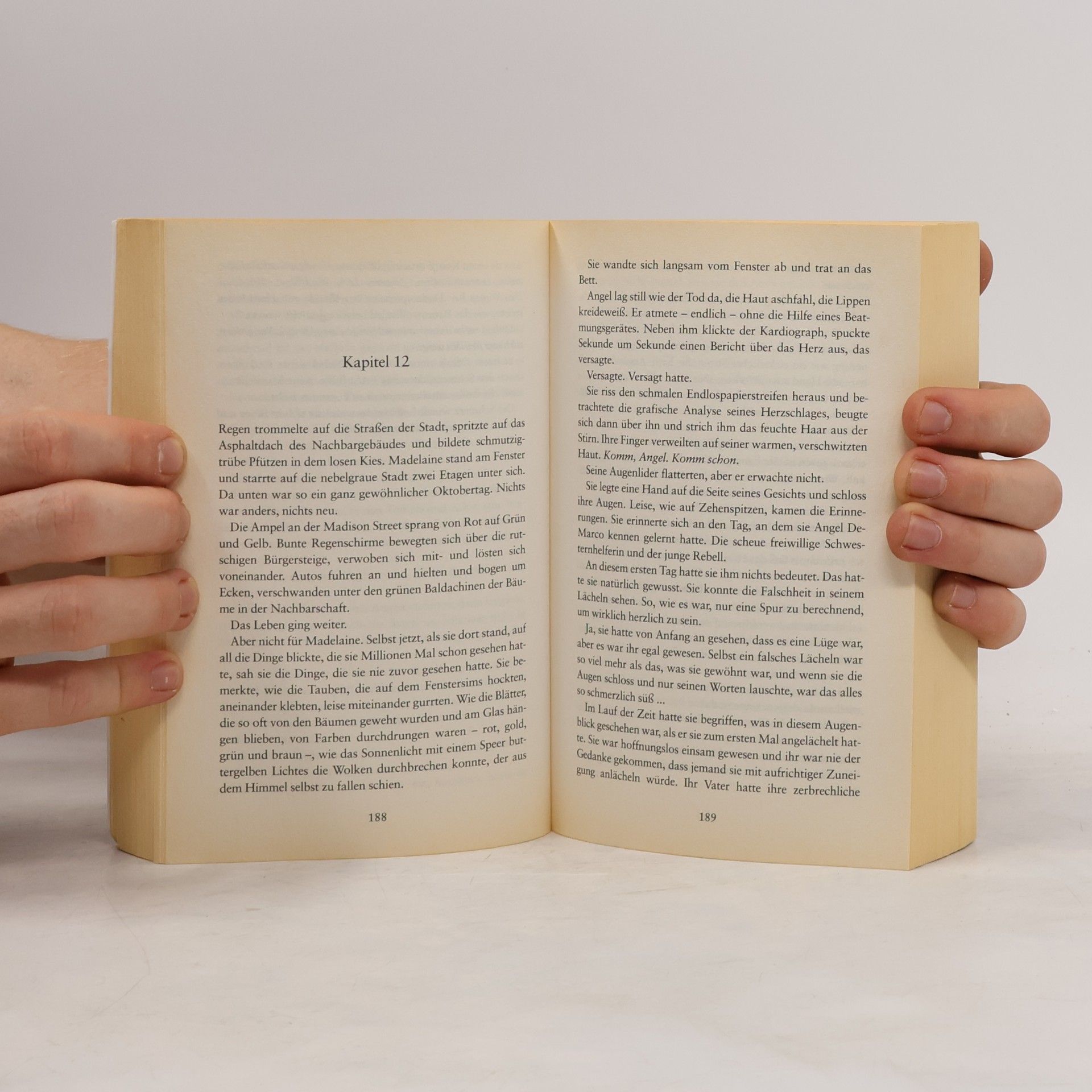 Kristin Hannah Wenn das Herz ruft