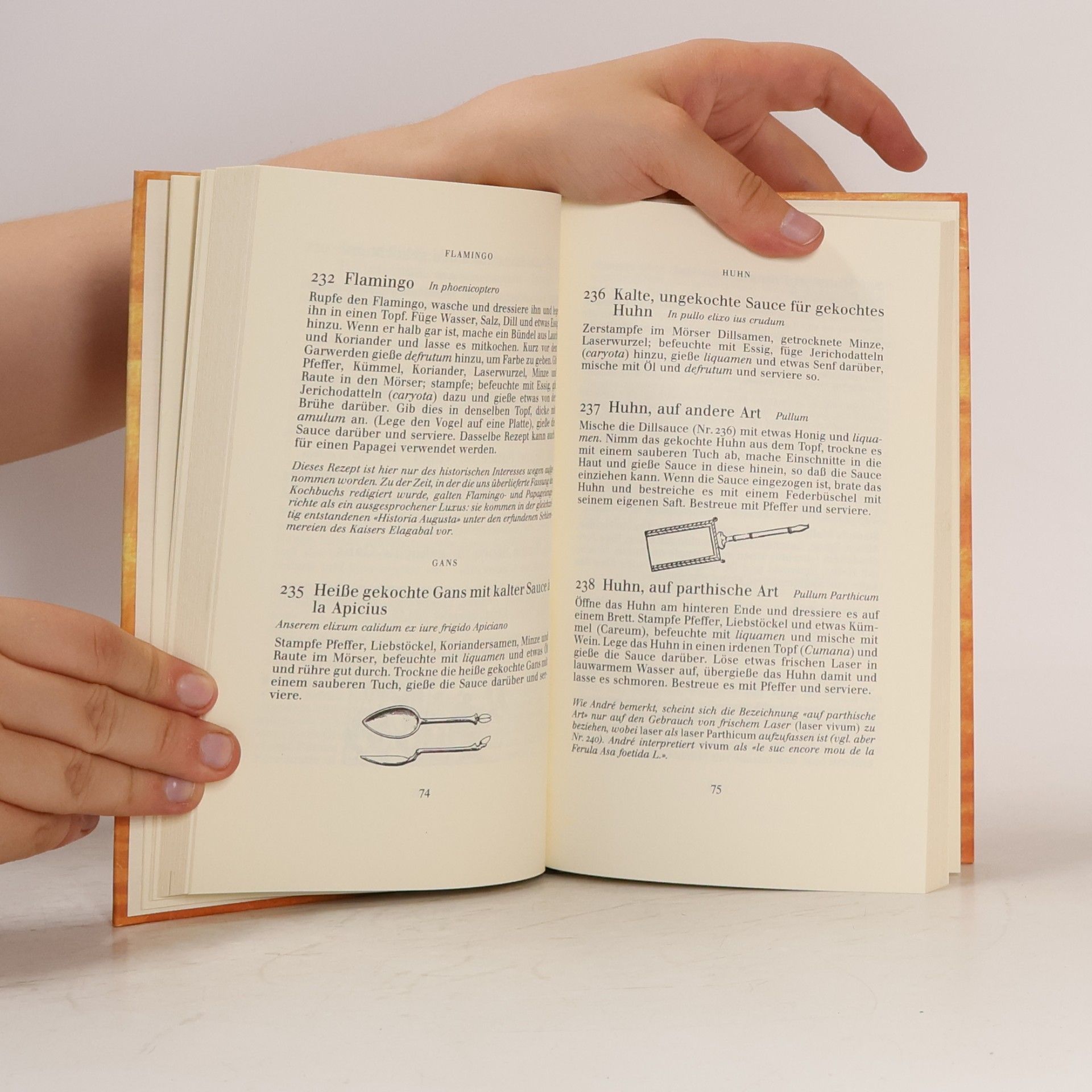 Autorenkollektiv Das Kochbuch der Römer