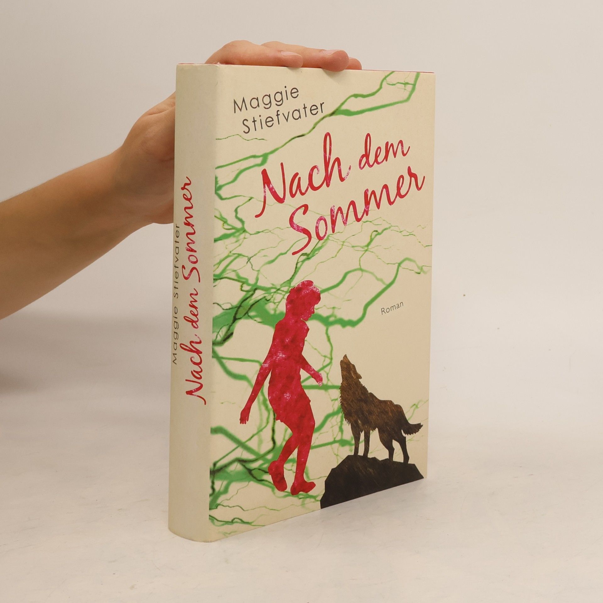 Maggie Stiefvater Nachm dem Sommer