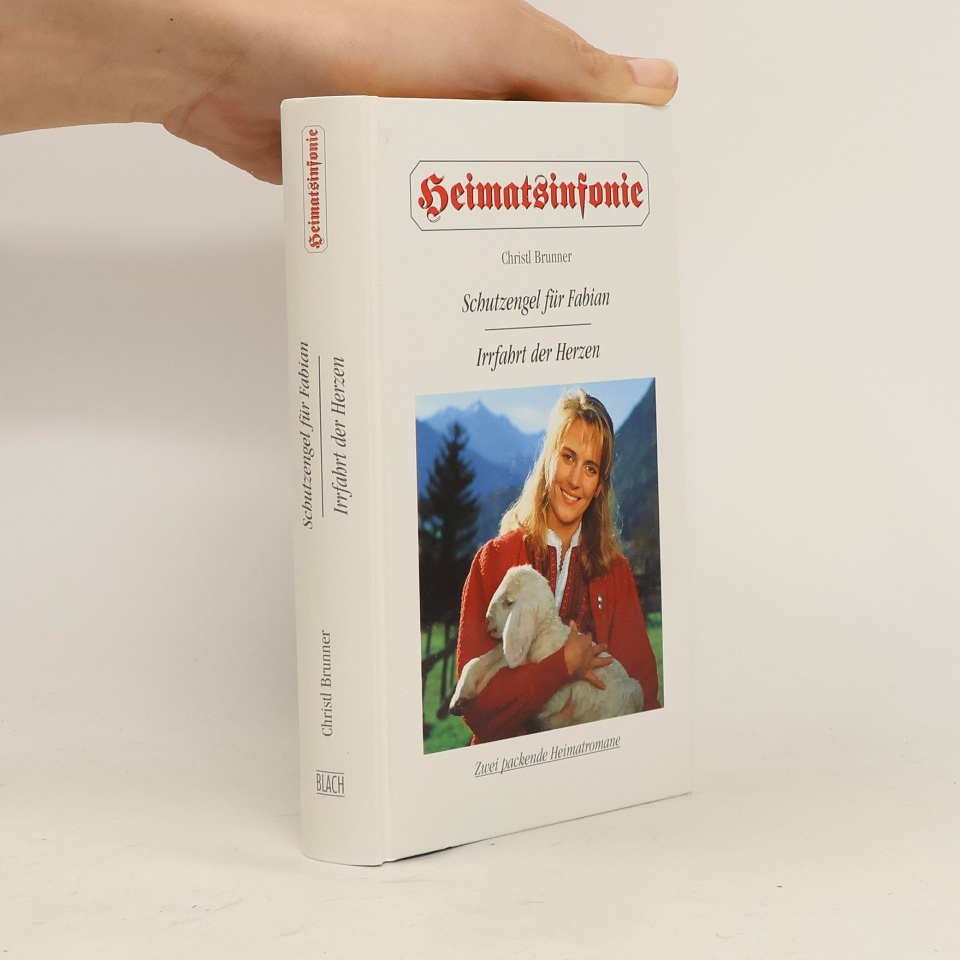 Christl Brunner Schutzengel für Fabian. Irrfahrt der Herzen