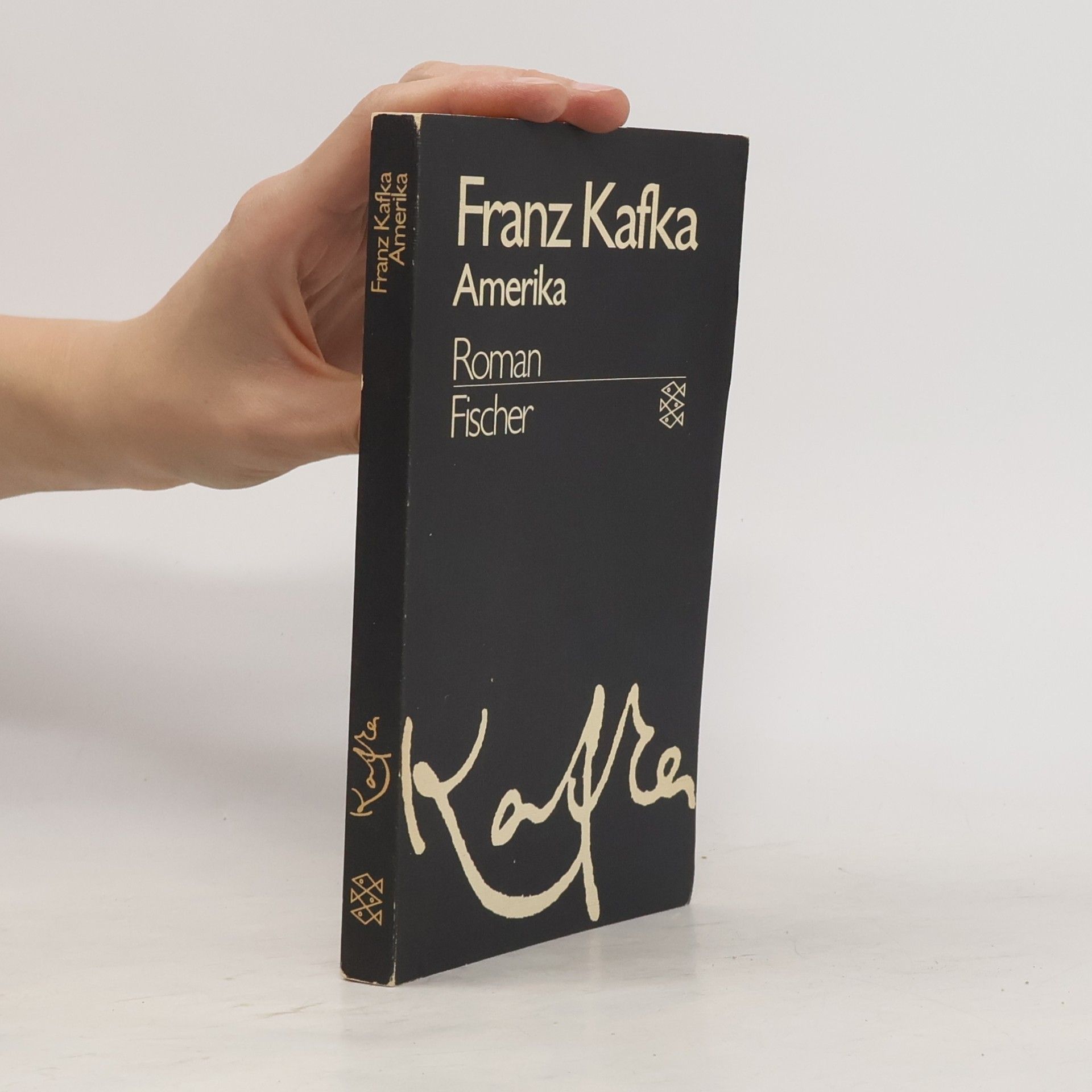 Franz Kafka Amerika