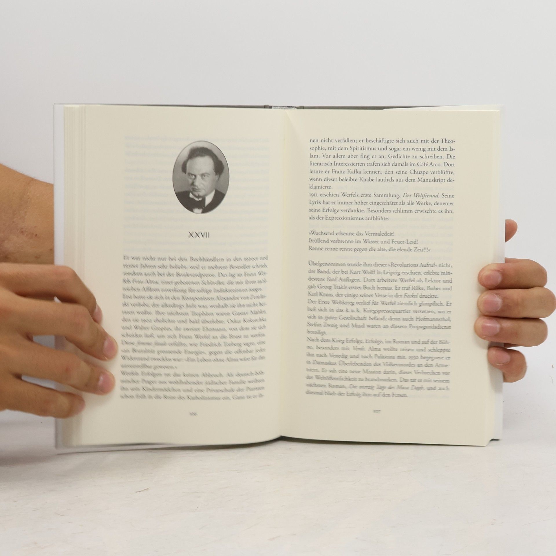 Hans Magnus Enzensberger Überlebenskünstler